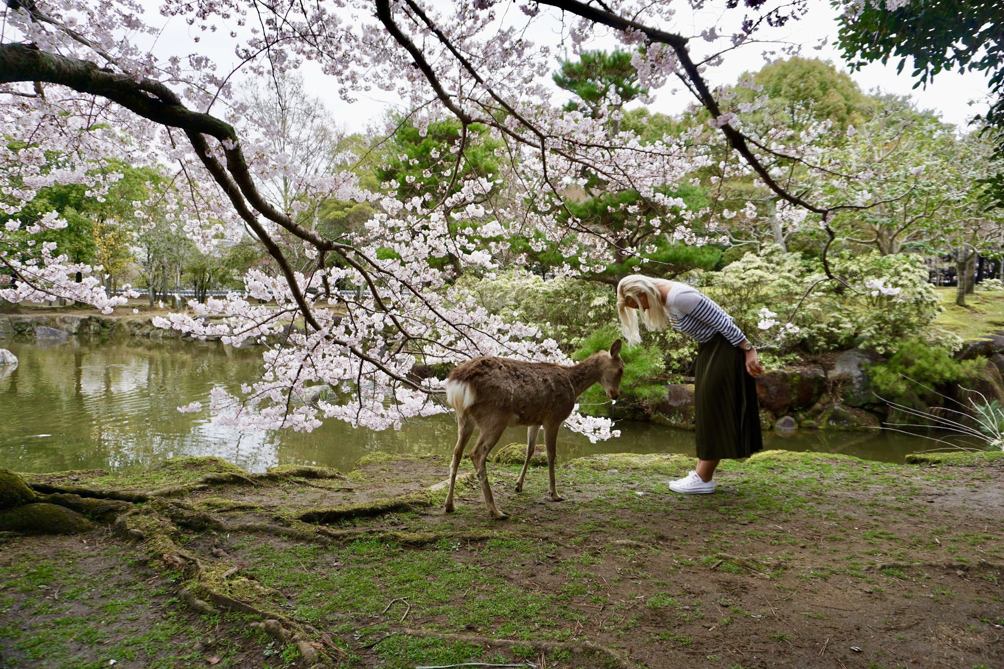 10 Must do things in Japan