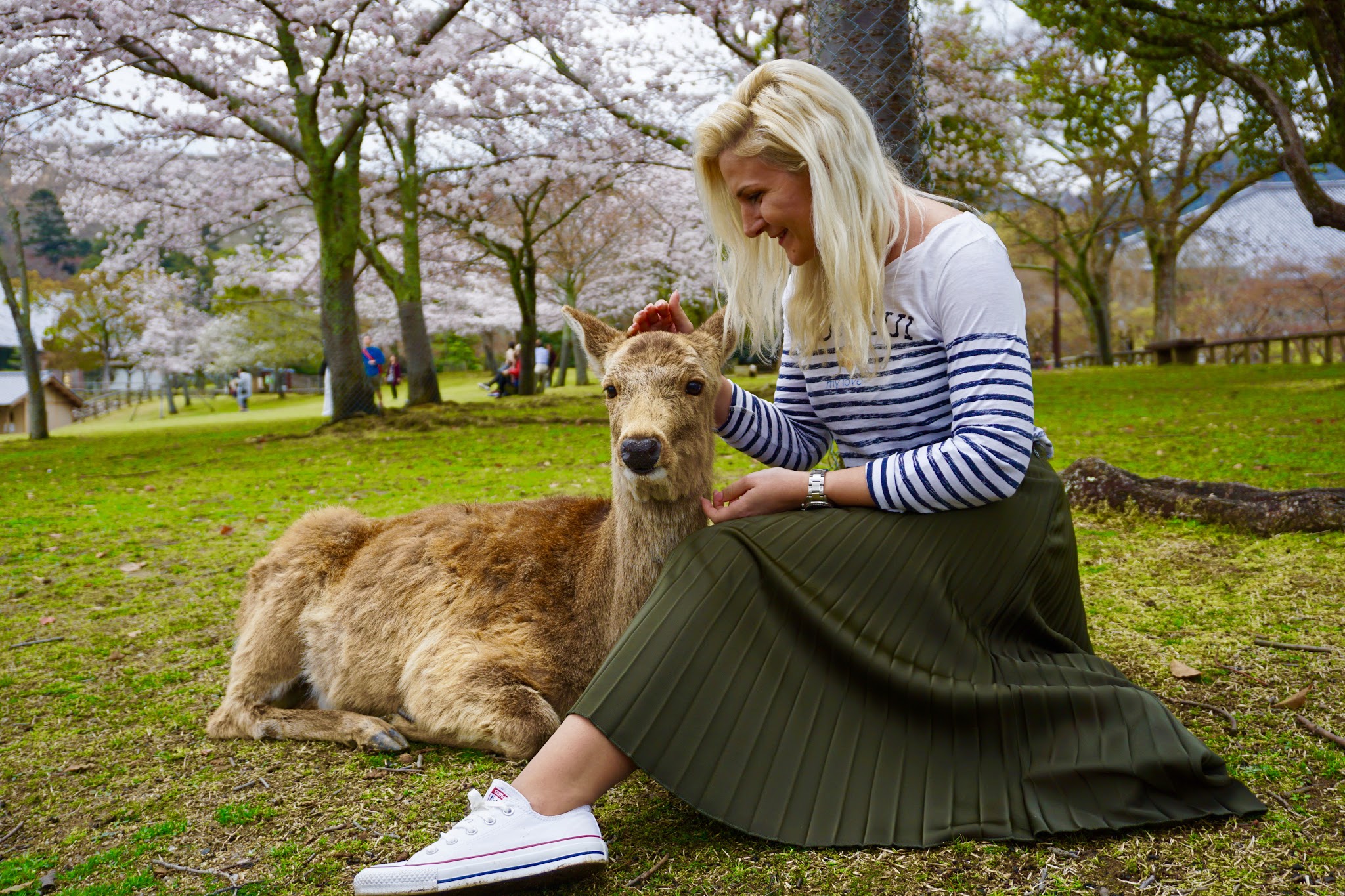 10 Must do things in Japan