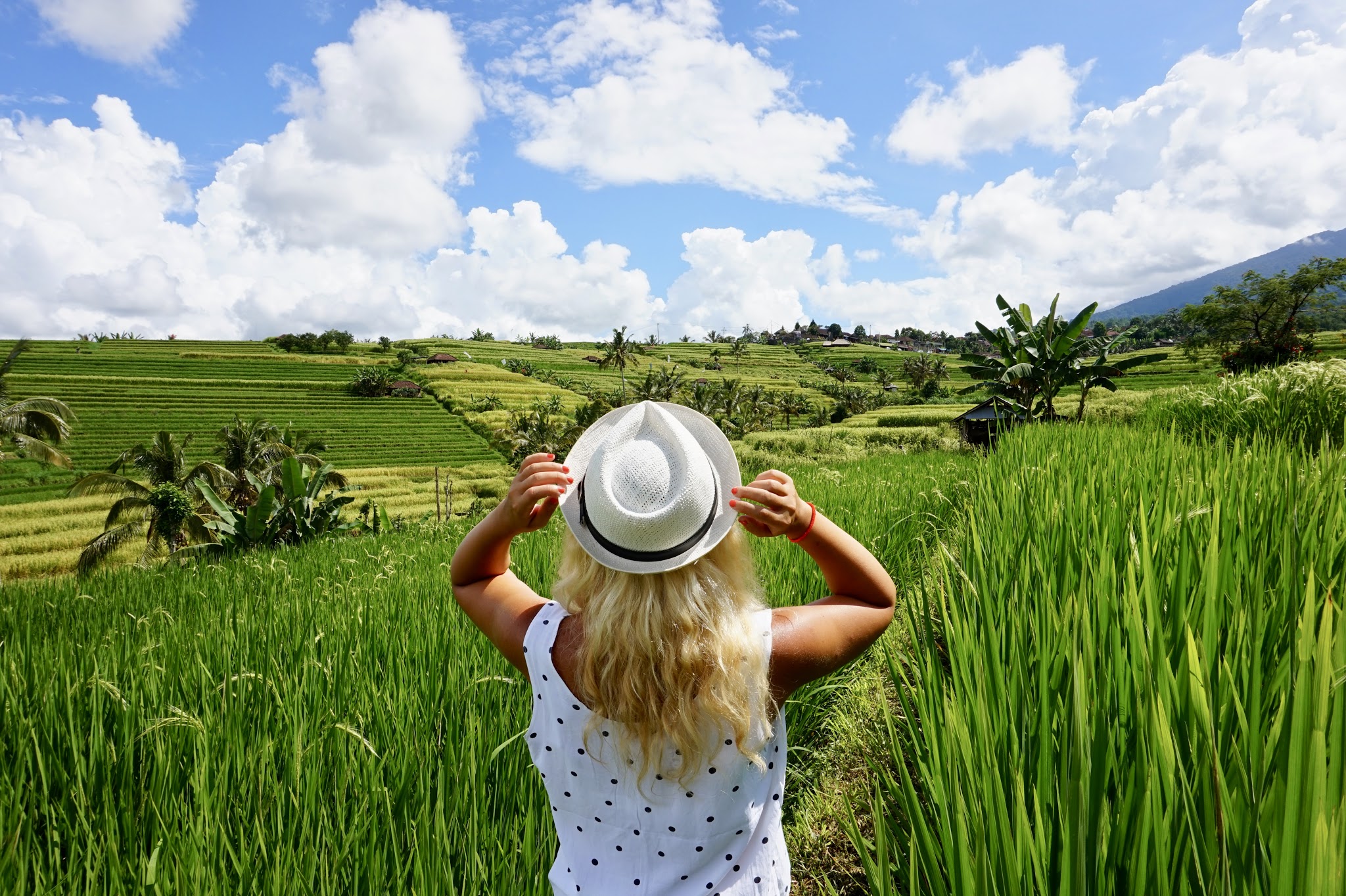 Bali - The Land of a Thousand Gods