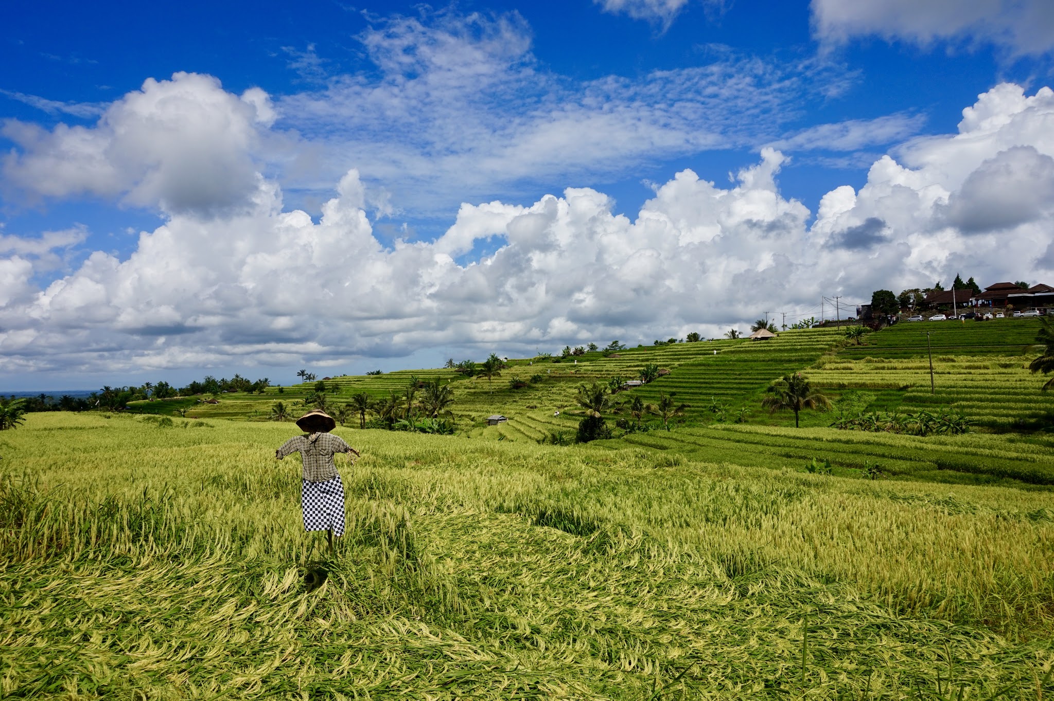Bali - The Land of a Thousand Gods