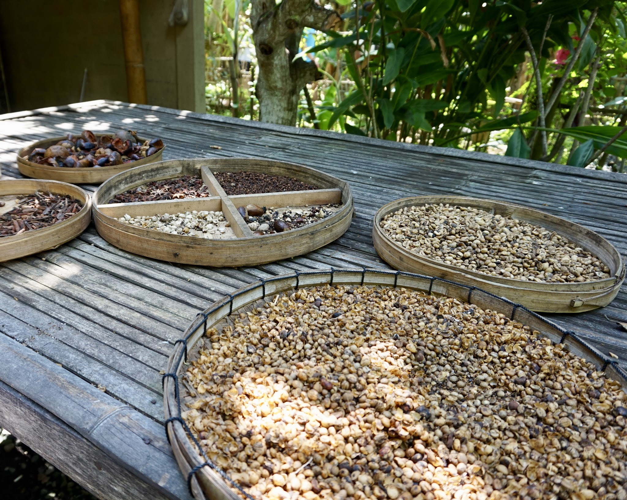 Bali - The Land of a Thousand Gods