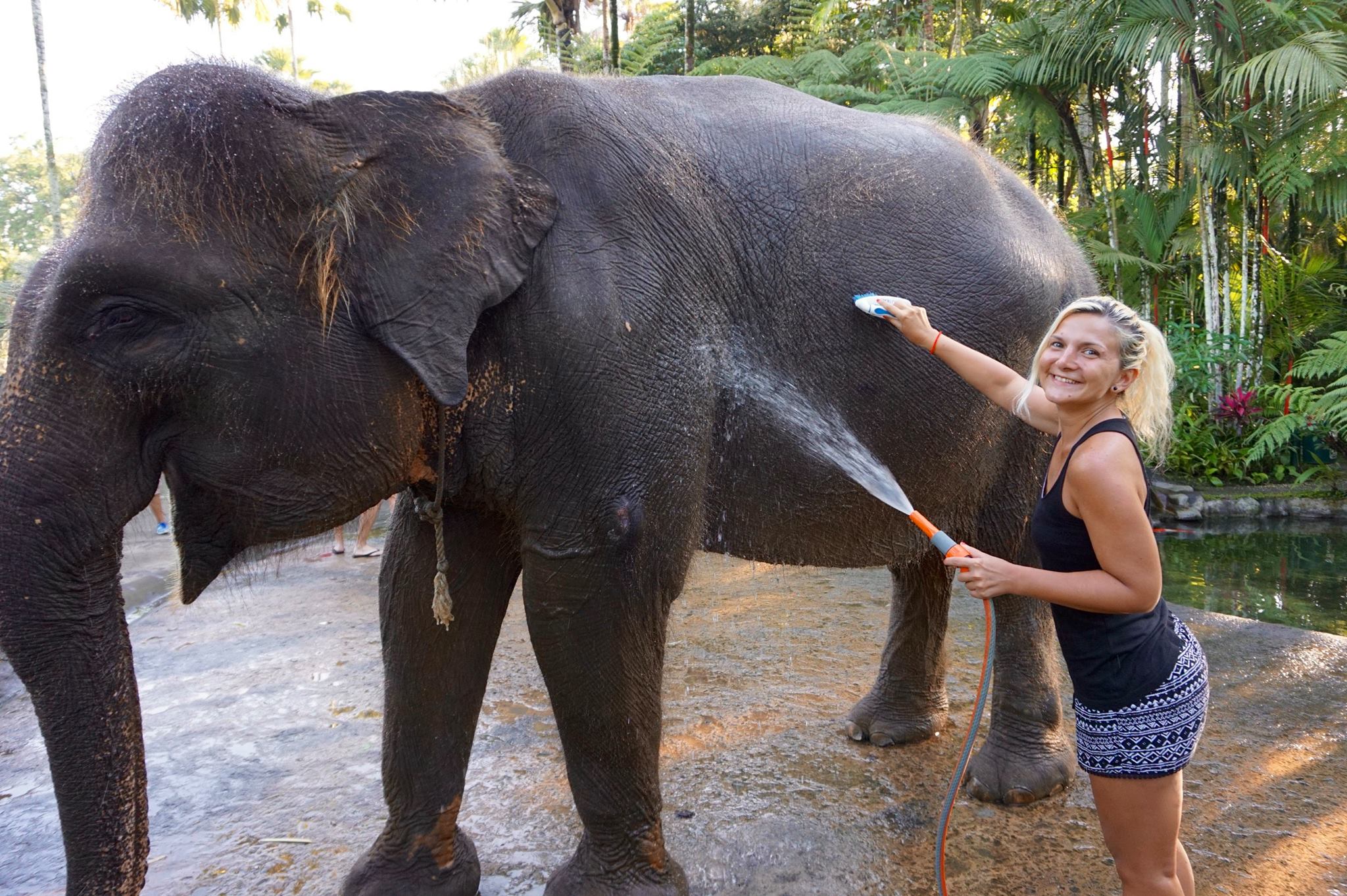 Bali - The Land of a Thousand Gods