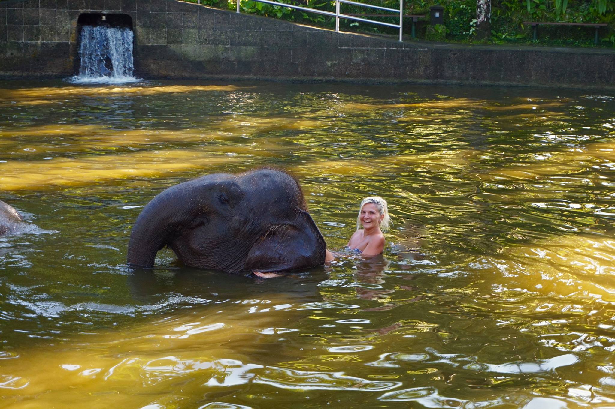 Bali - The Land of a Thousand Gods
