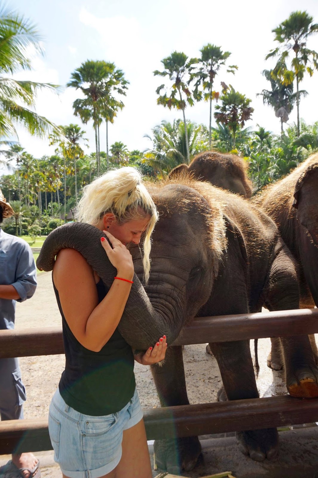 Bali - The Land of a Thousand Gods