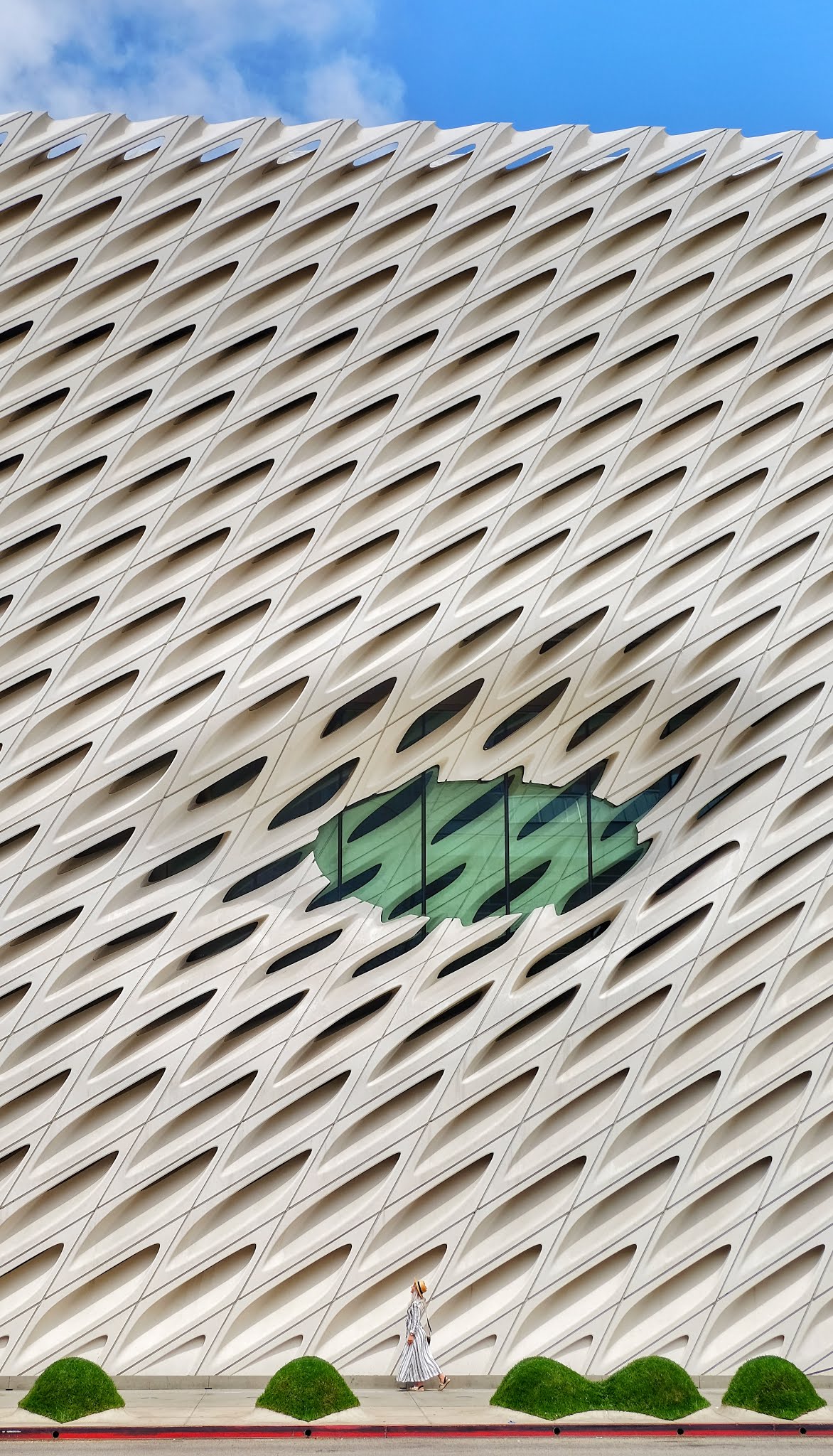 Finding our wings in the City of Angels