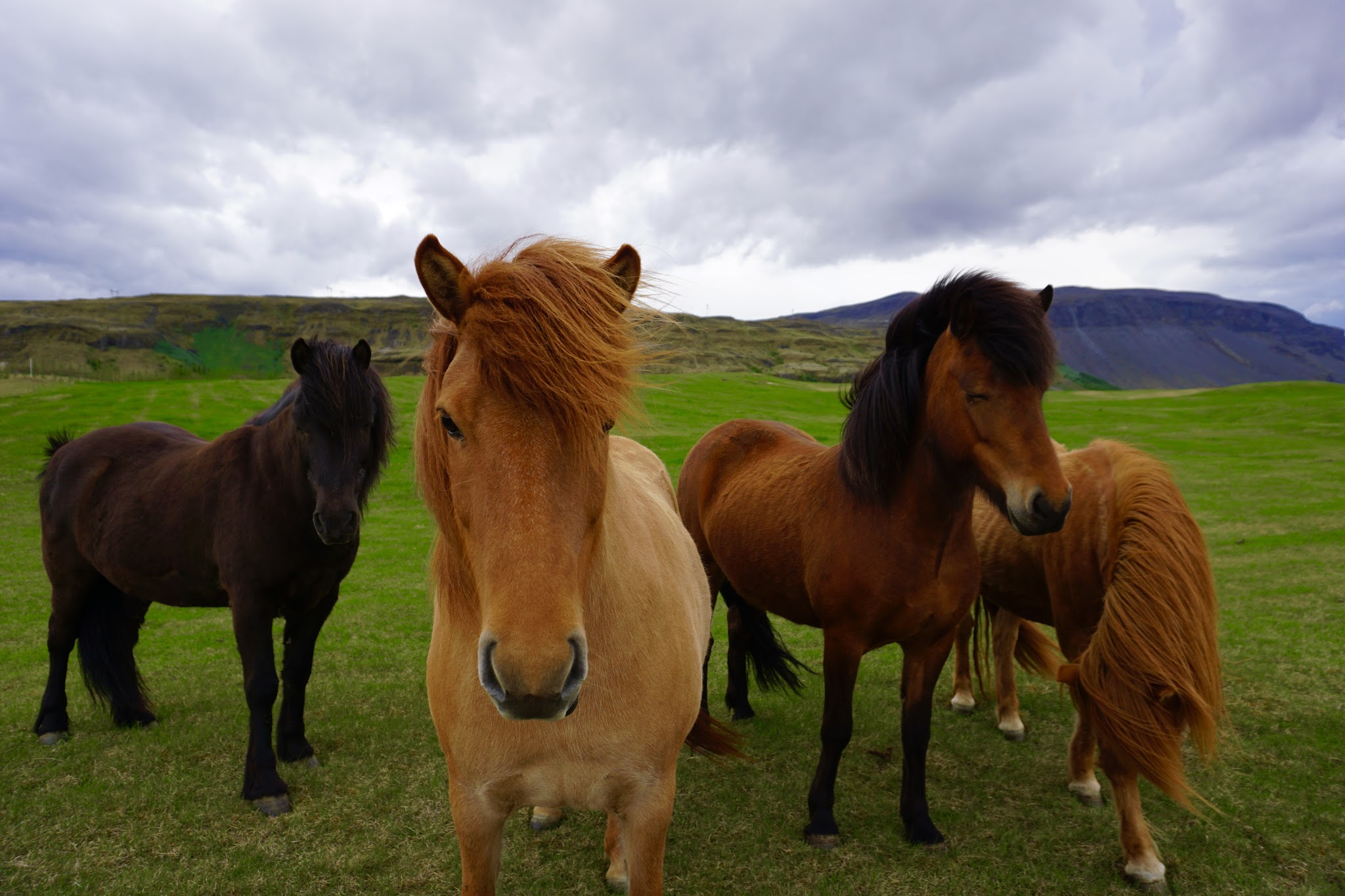 Following the ring road in Iceland