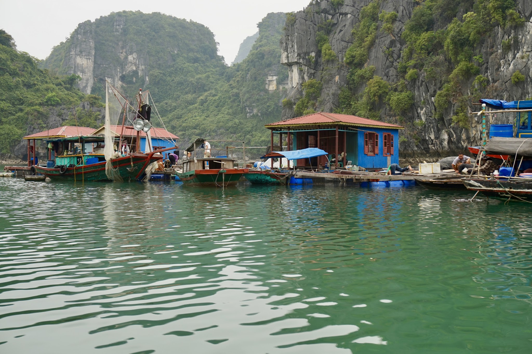 Ha Long Bay, Vietnam: The descending dragon