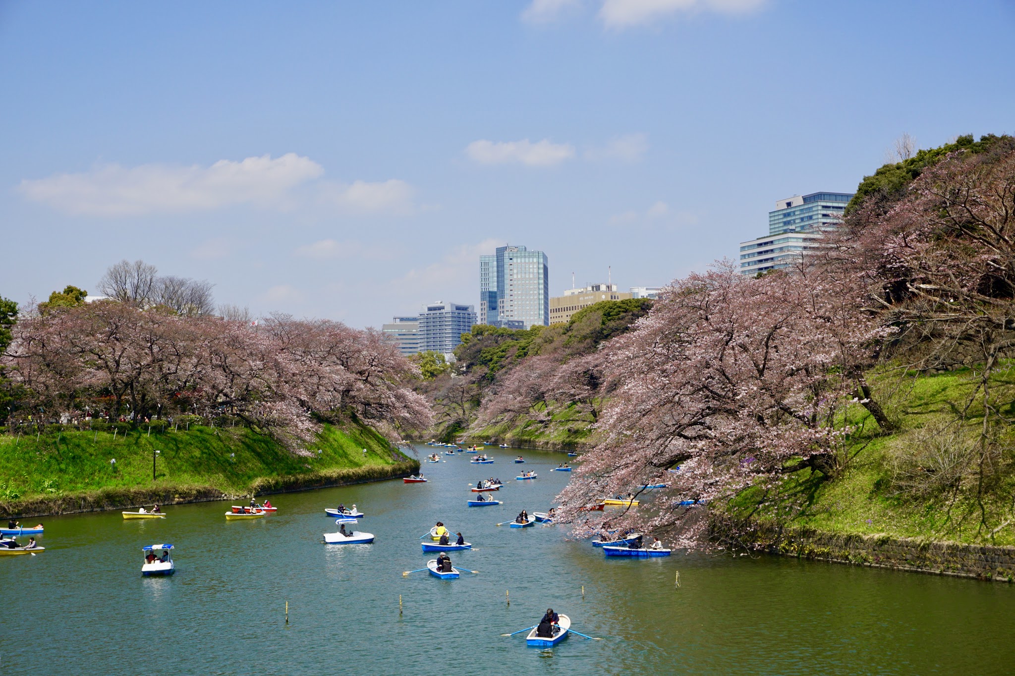 I left my heart in Japan