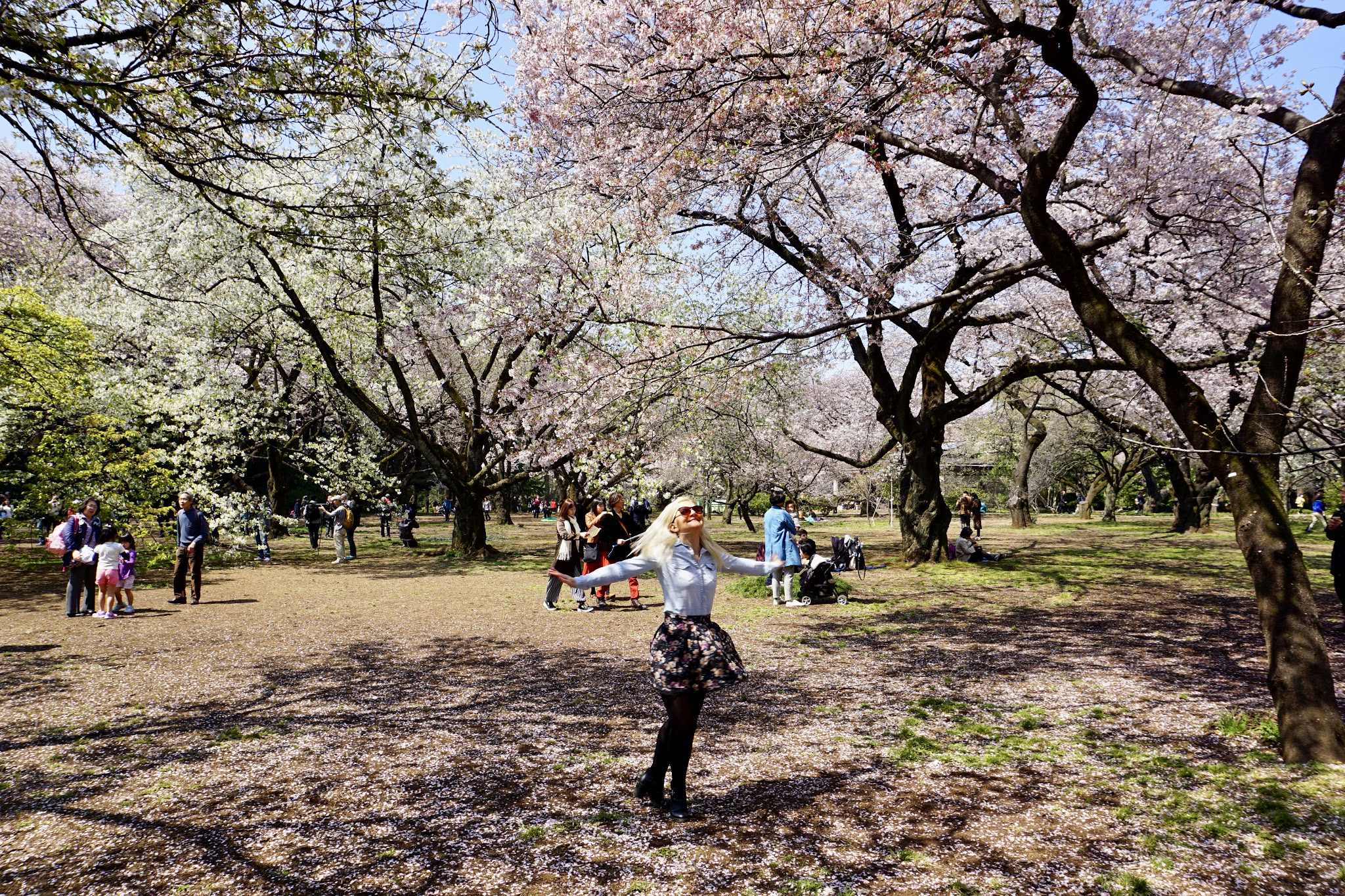 I left my heart in Japan