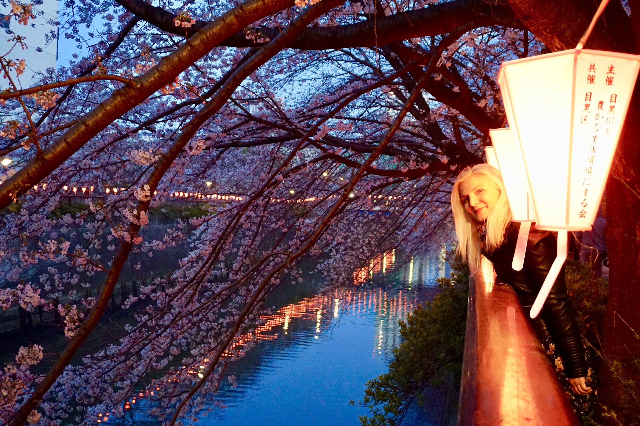 I left my heart in Japan