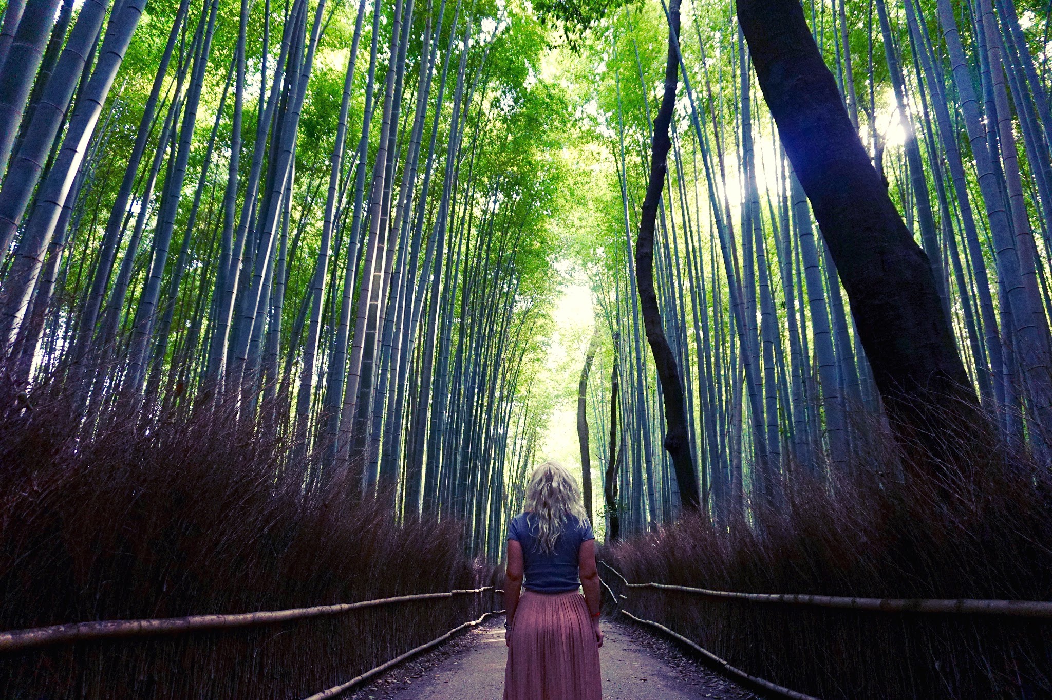 I left my heart in Japan