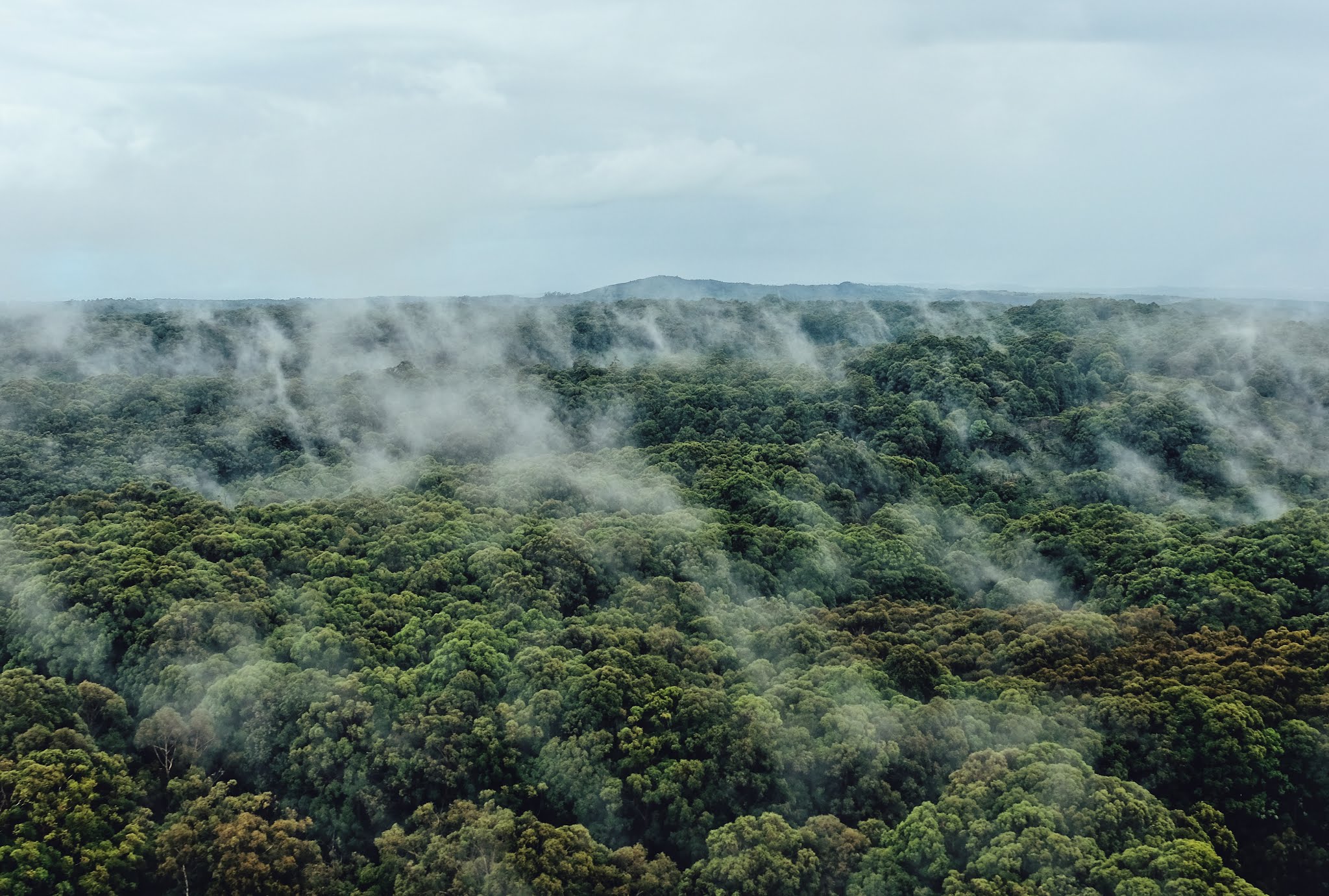 Interesting facts about Kauai, Hawaii