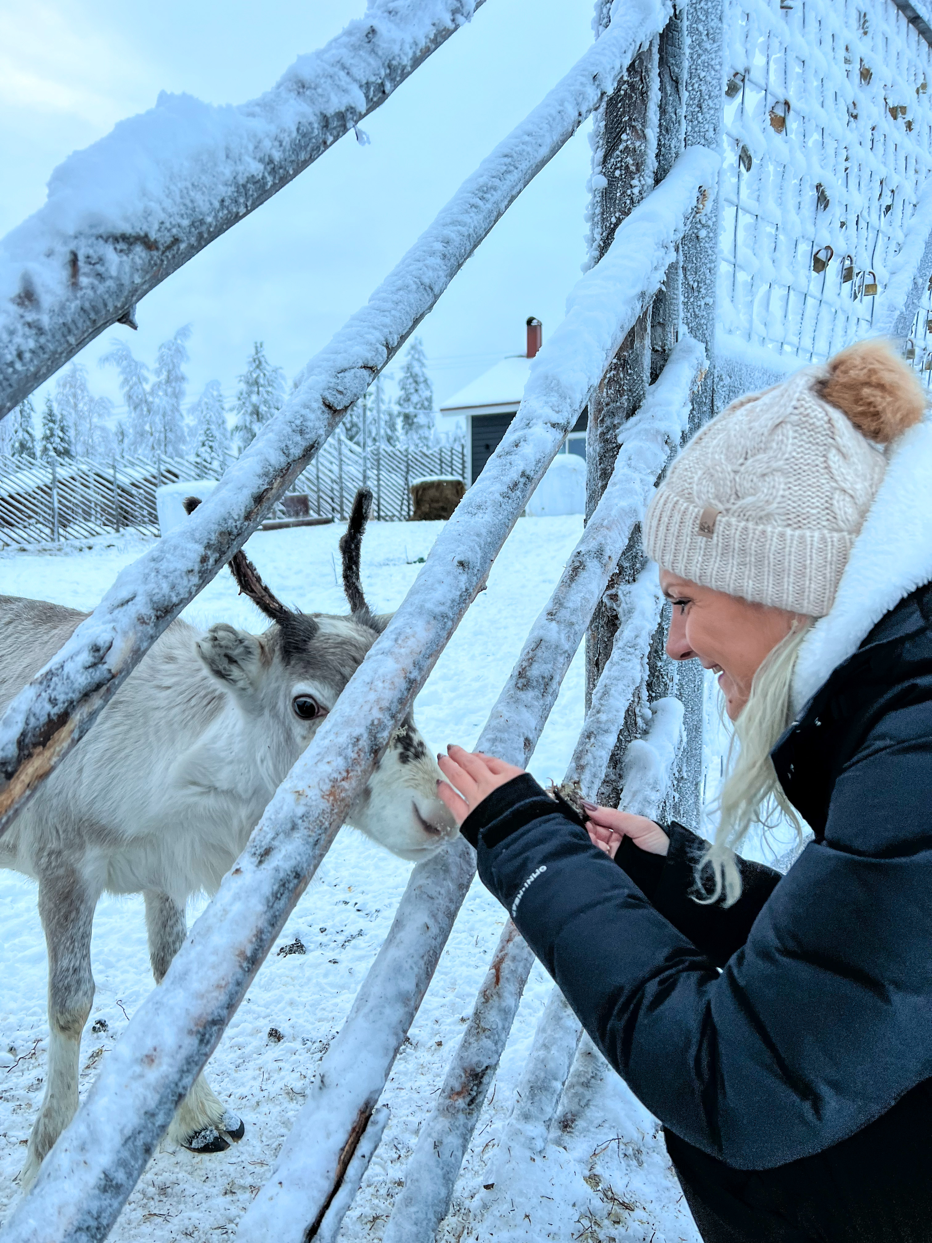 LAPLAND - TRAVEL GUIDE
