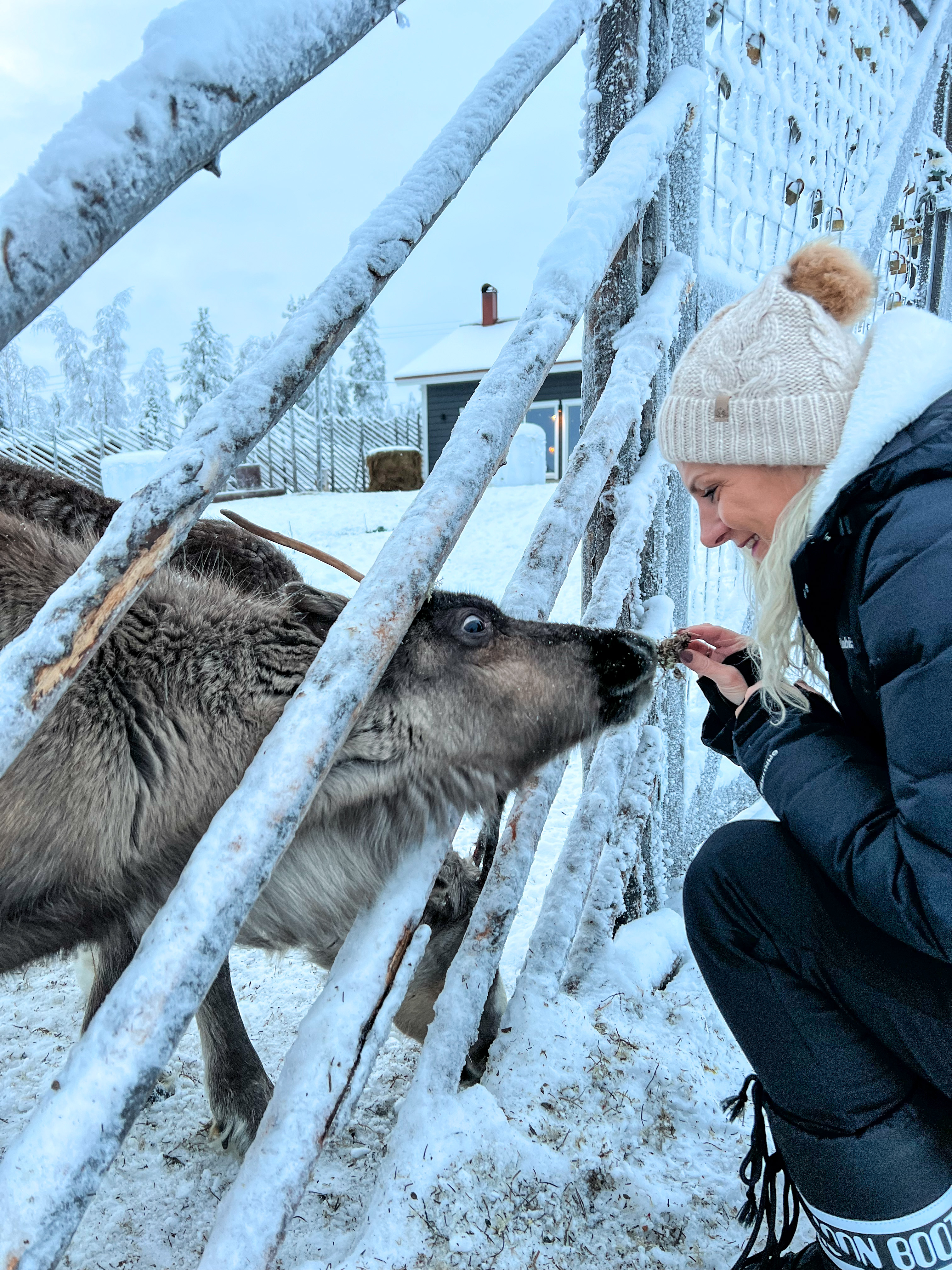 LAPLAND - TRAVEL GUIDE