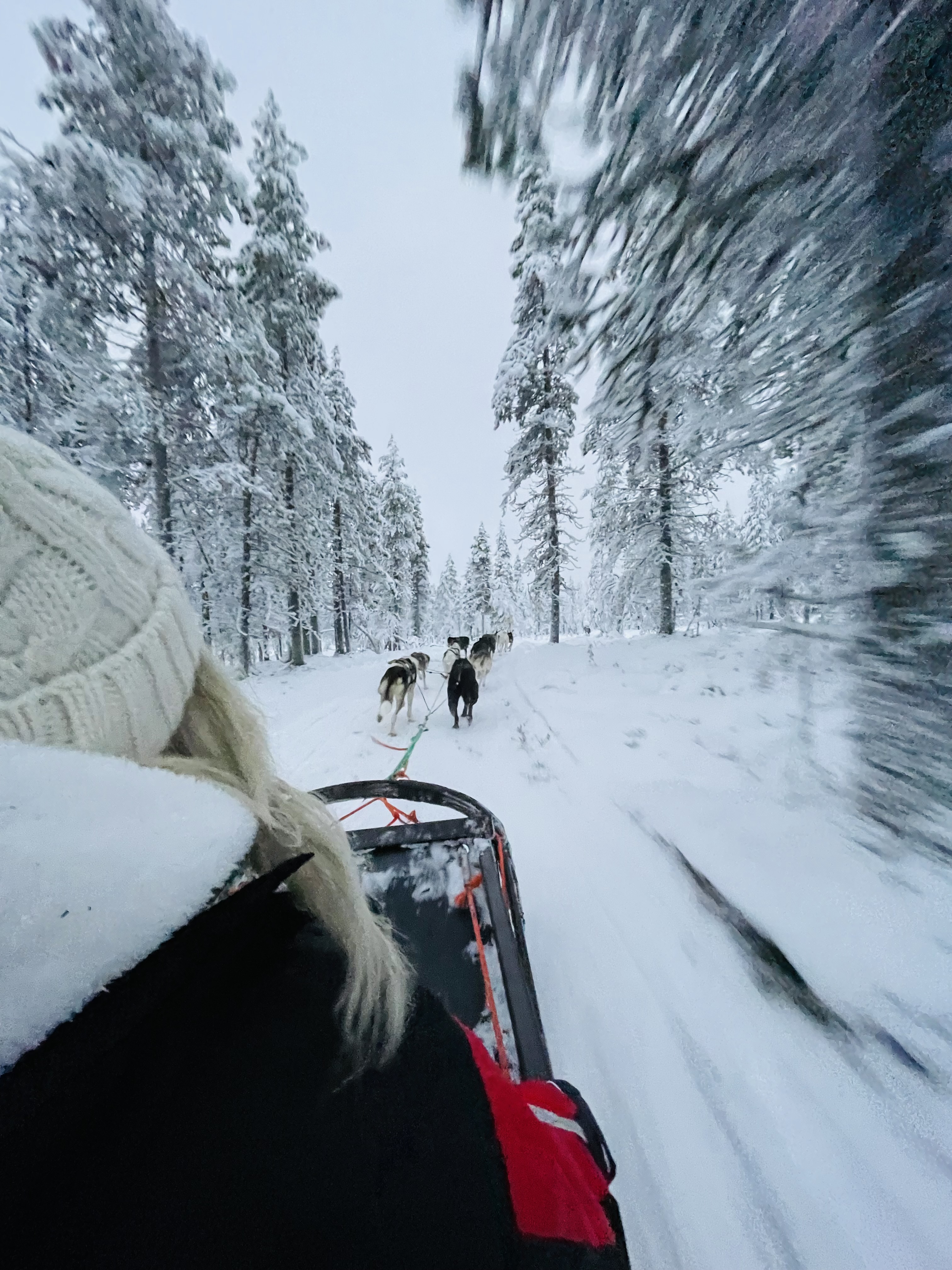 LAPLAND - TRAVEL GUIDE