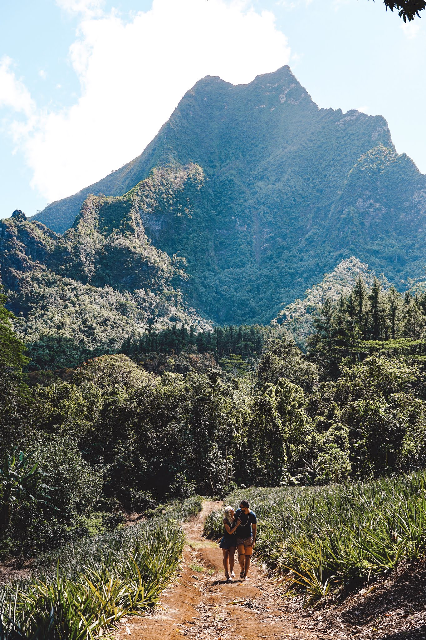 Moorea, French Polynesia - Travel Guide