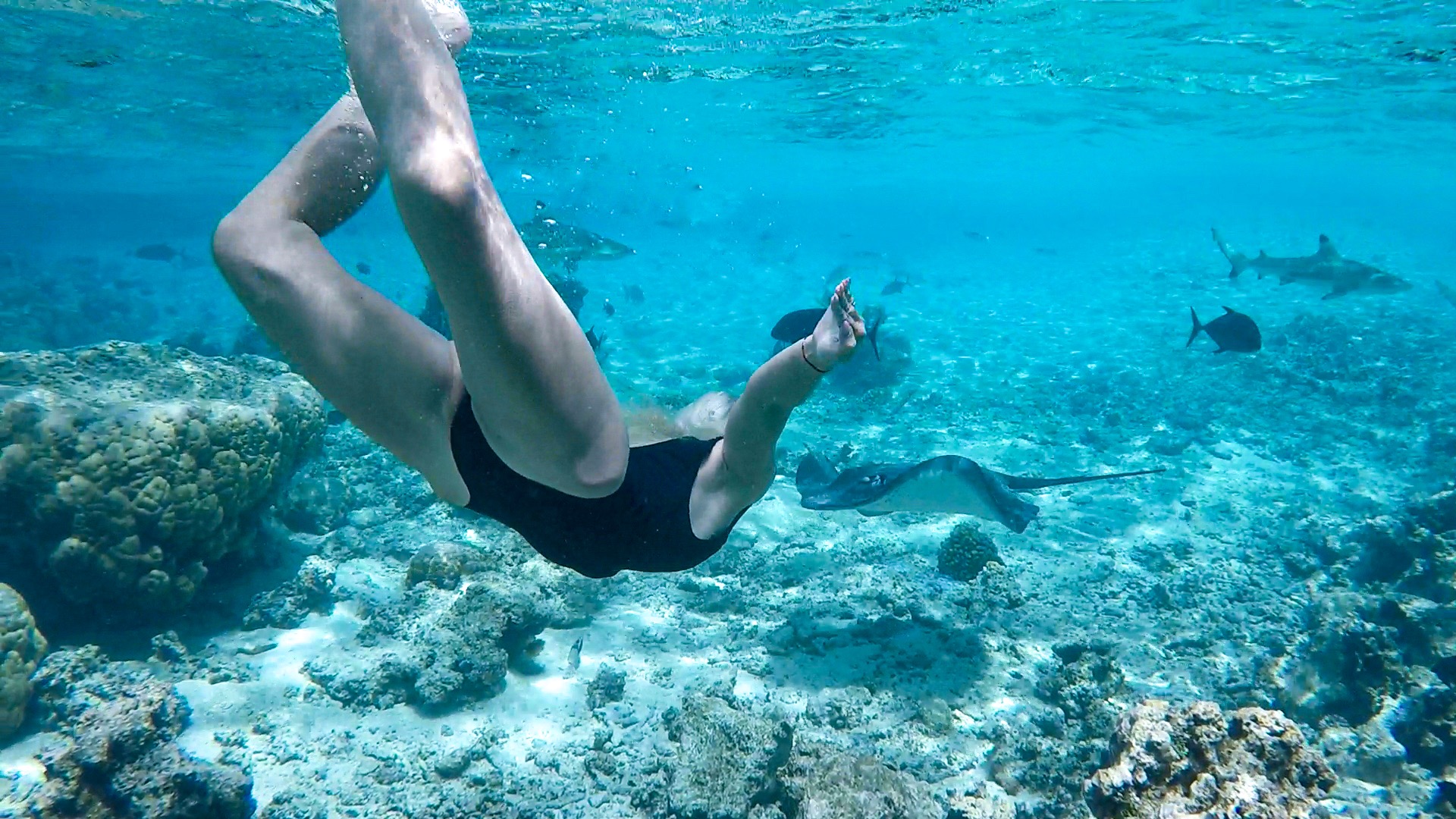 Moorea, French Polynesia - Travel Guide