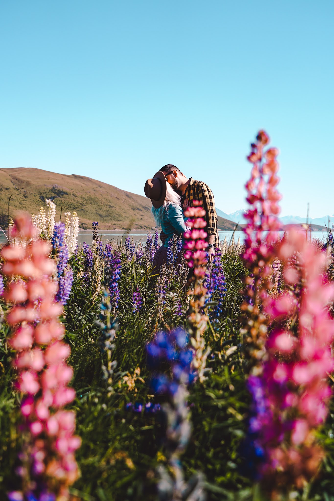 New Zealand - Travel Guide