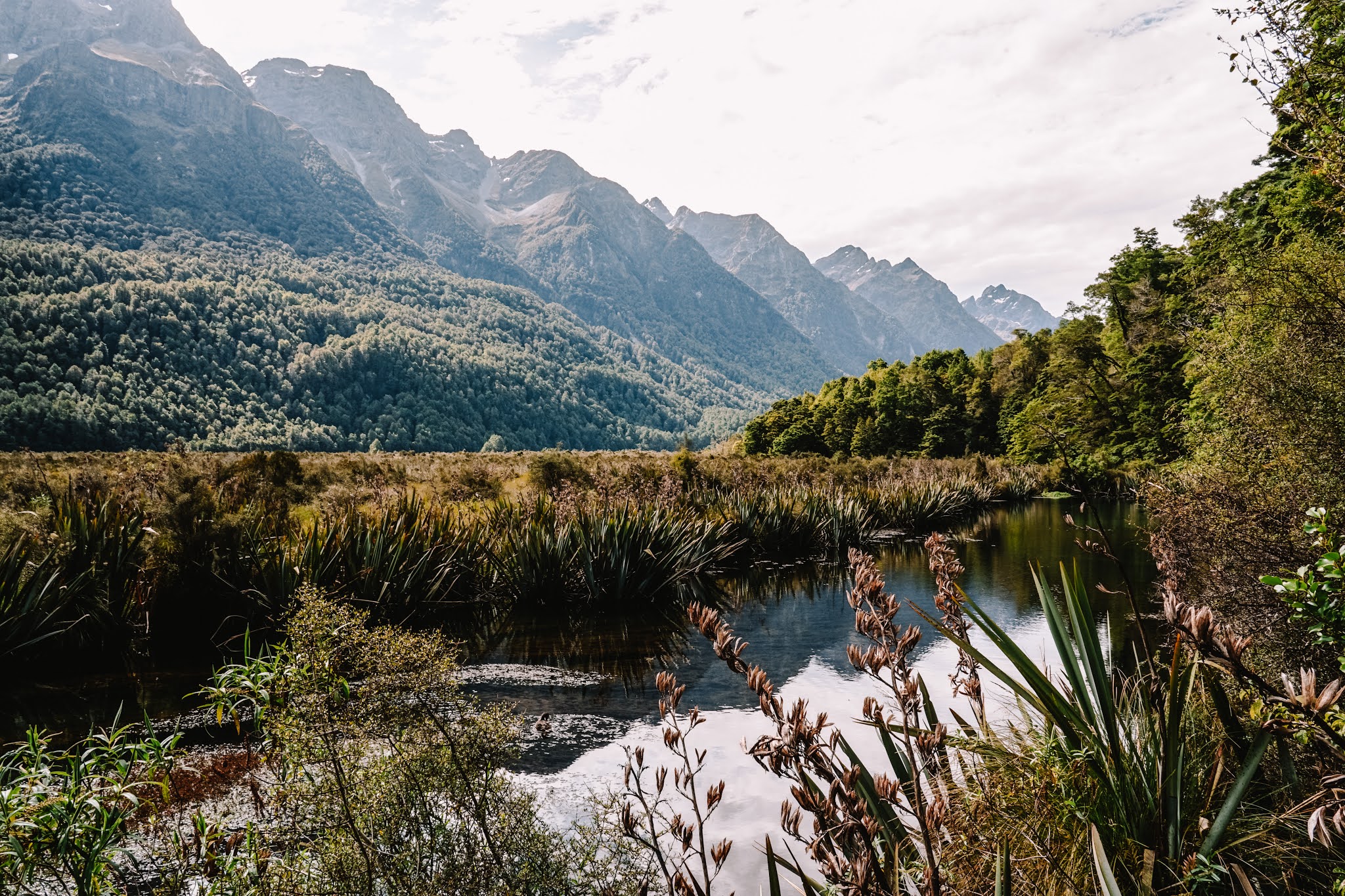 New Zealand - Travel Guide