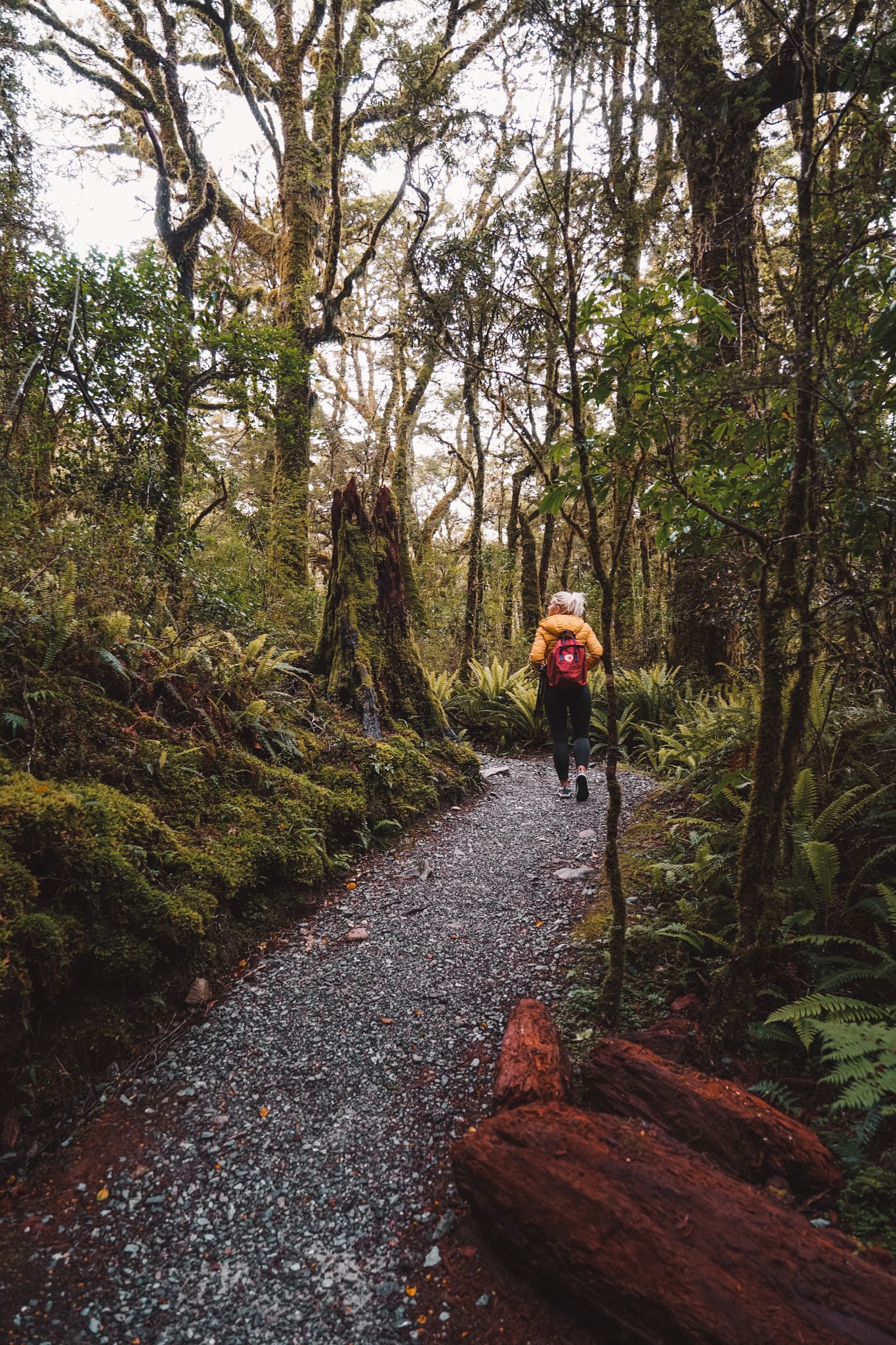 New Zealand - Travel Guide