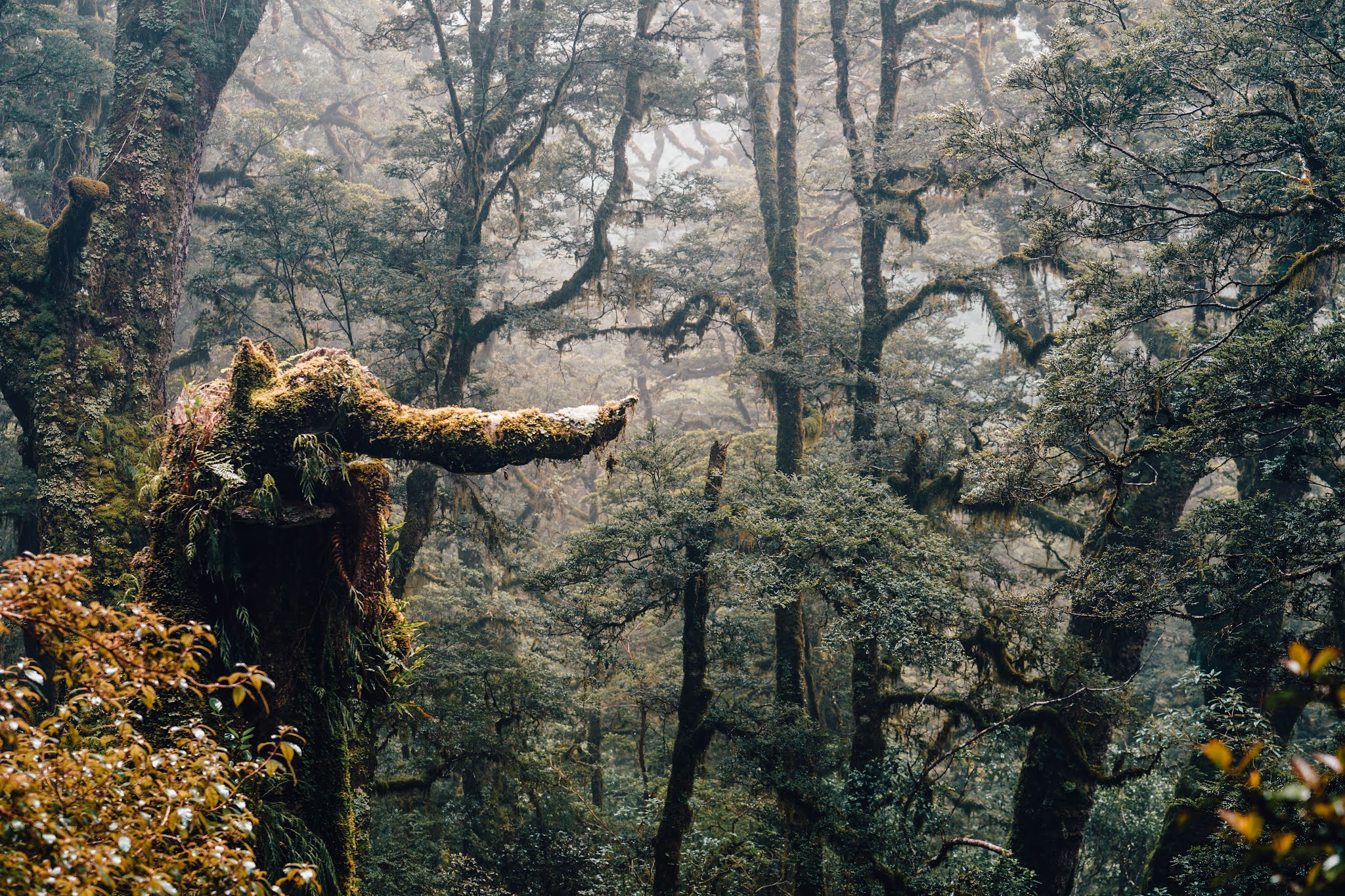 New Zealand - Travel Guide