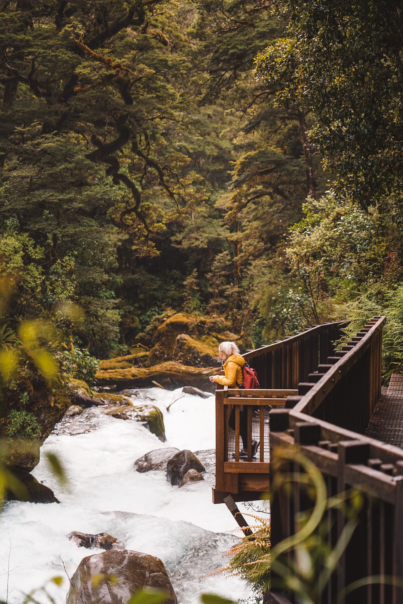 New Zealand - Travel Guide