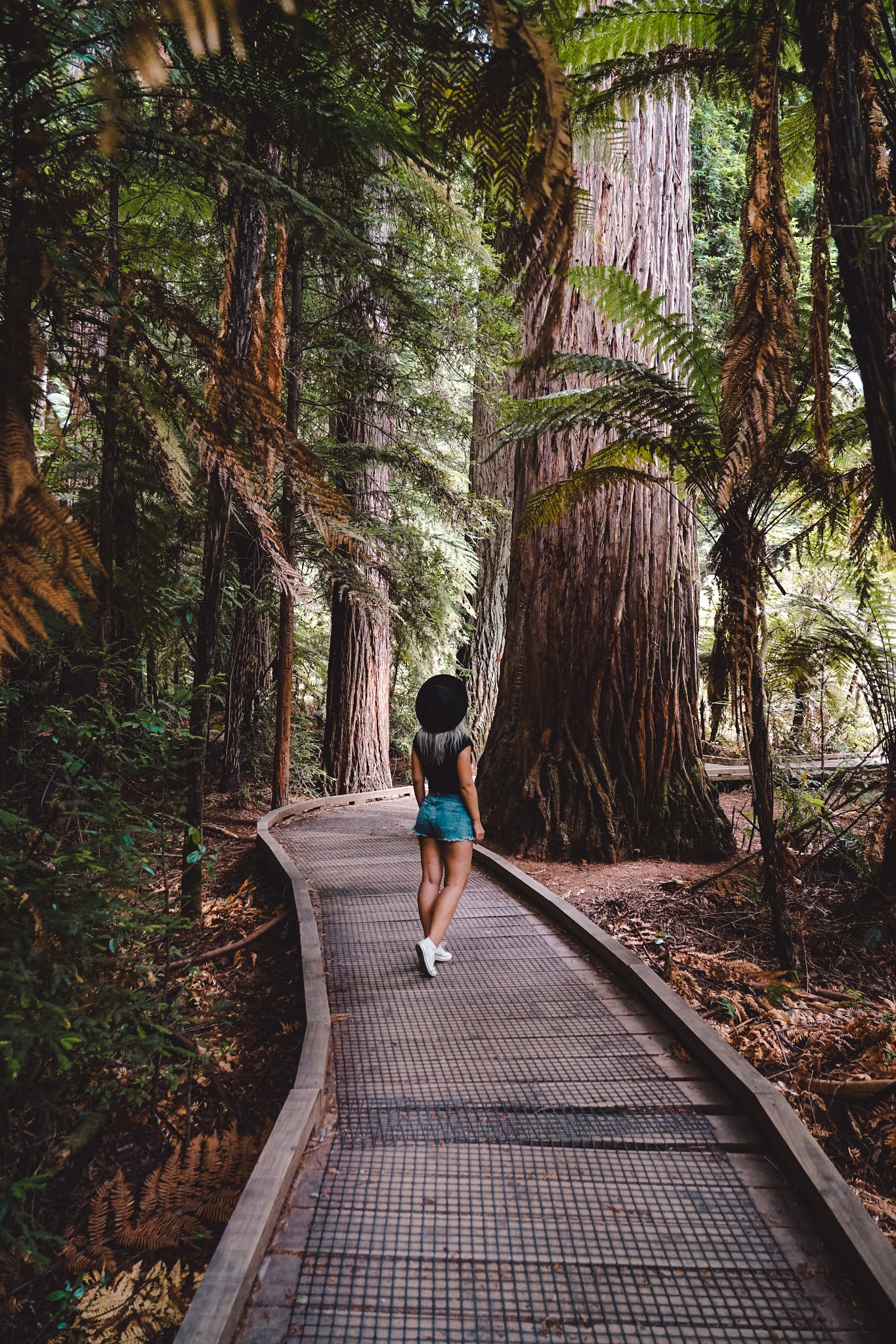 New Zealand - Travel Guide