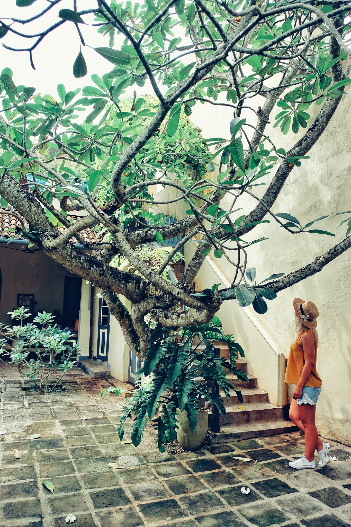 Sri Lanka - The hardcore 9 days itinerary