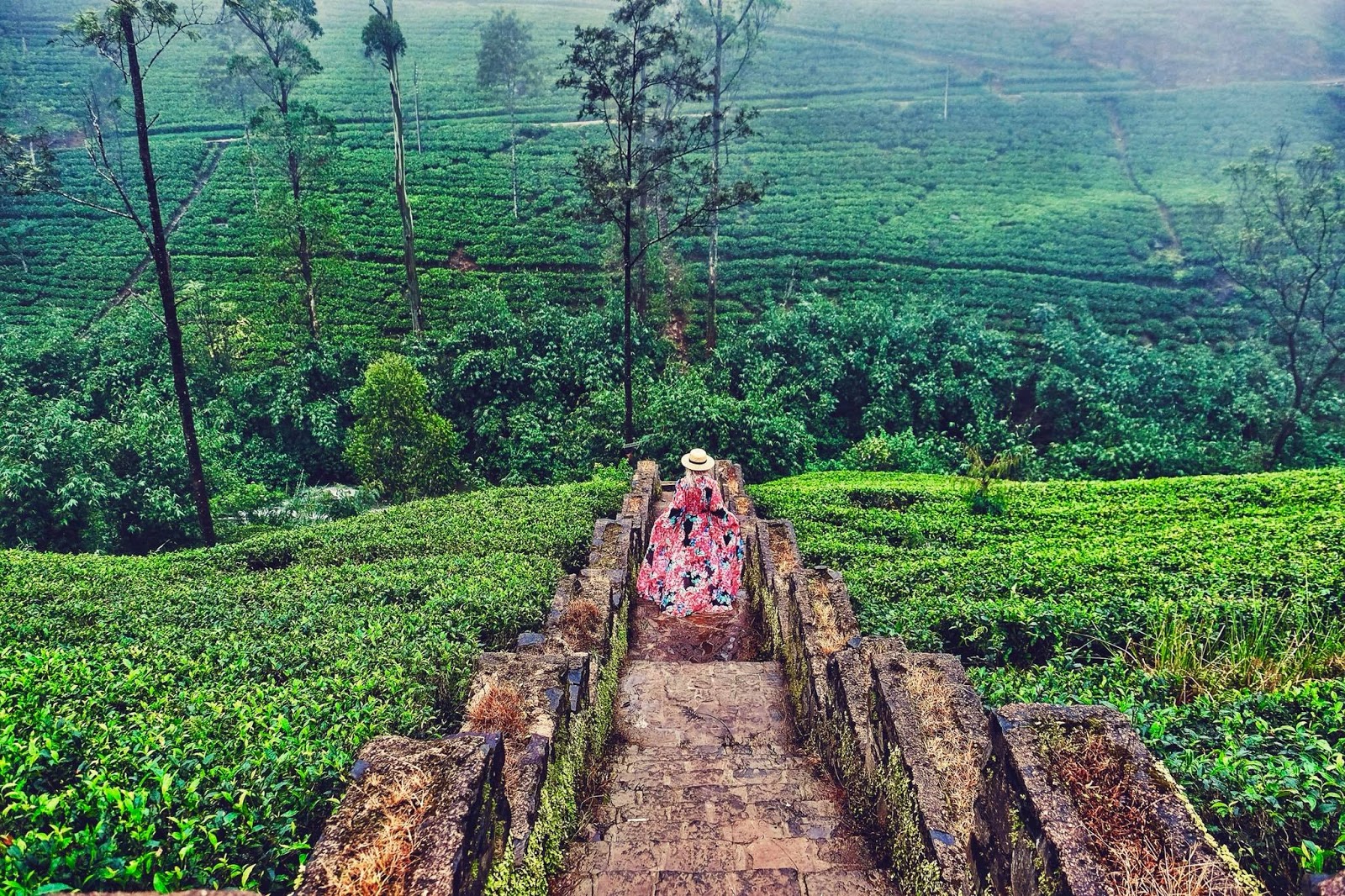 Sri Lanka - The hardcore 9 days itinerary