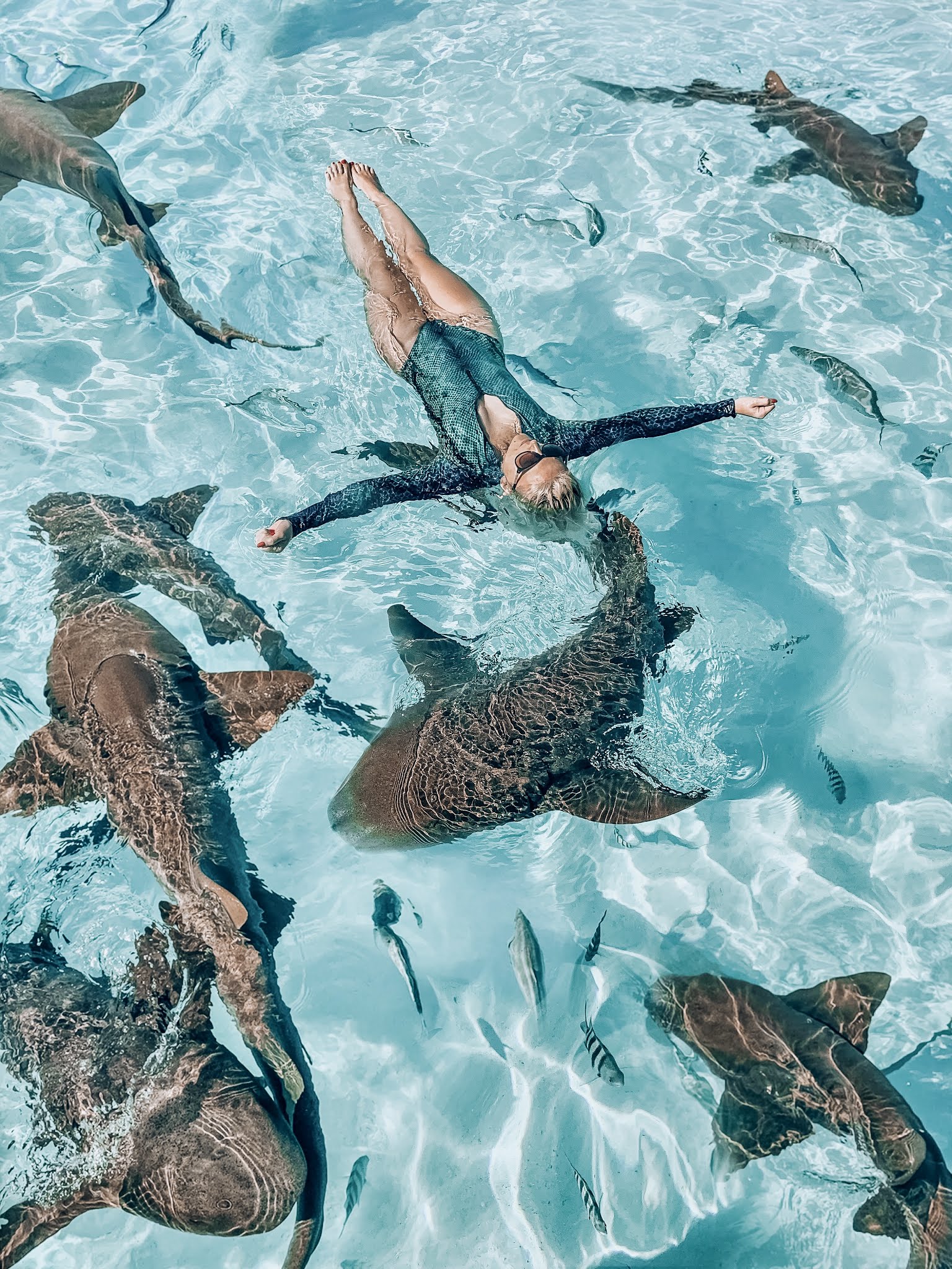 Swimming with pigs in Exuma, The Bahamas