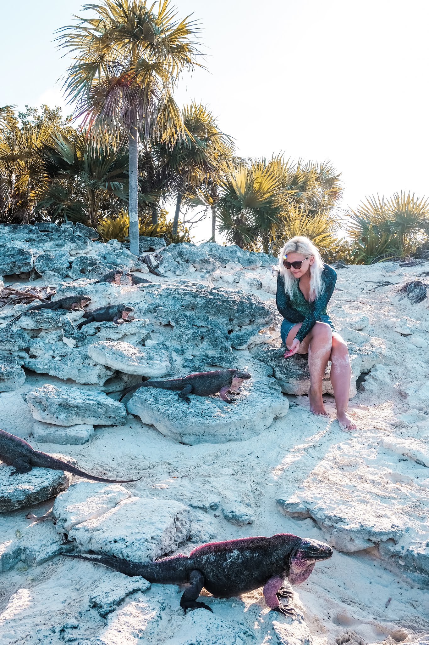 Swimming with pigs in Exuma, The Bahamas
