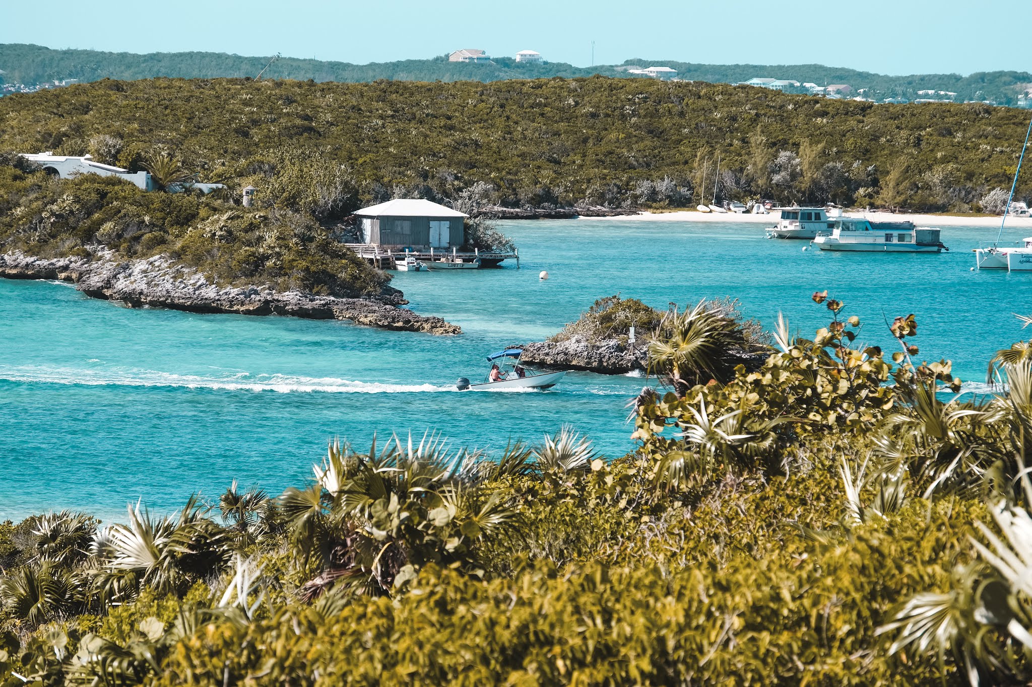 Swimming with pigs in Exuma, The Bahamas
