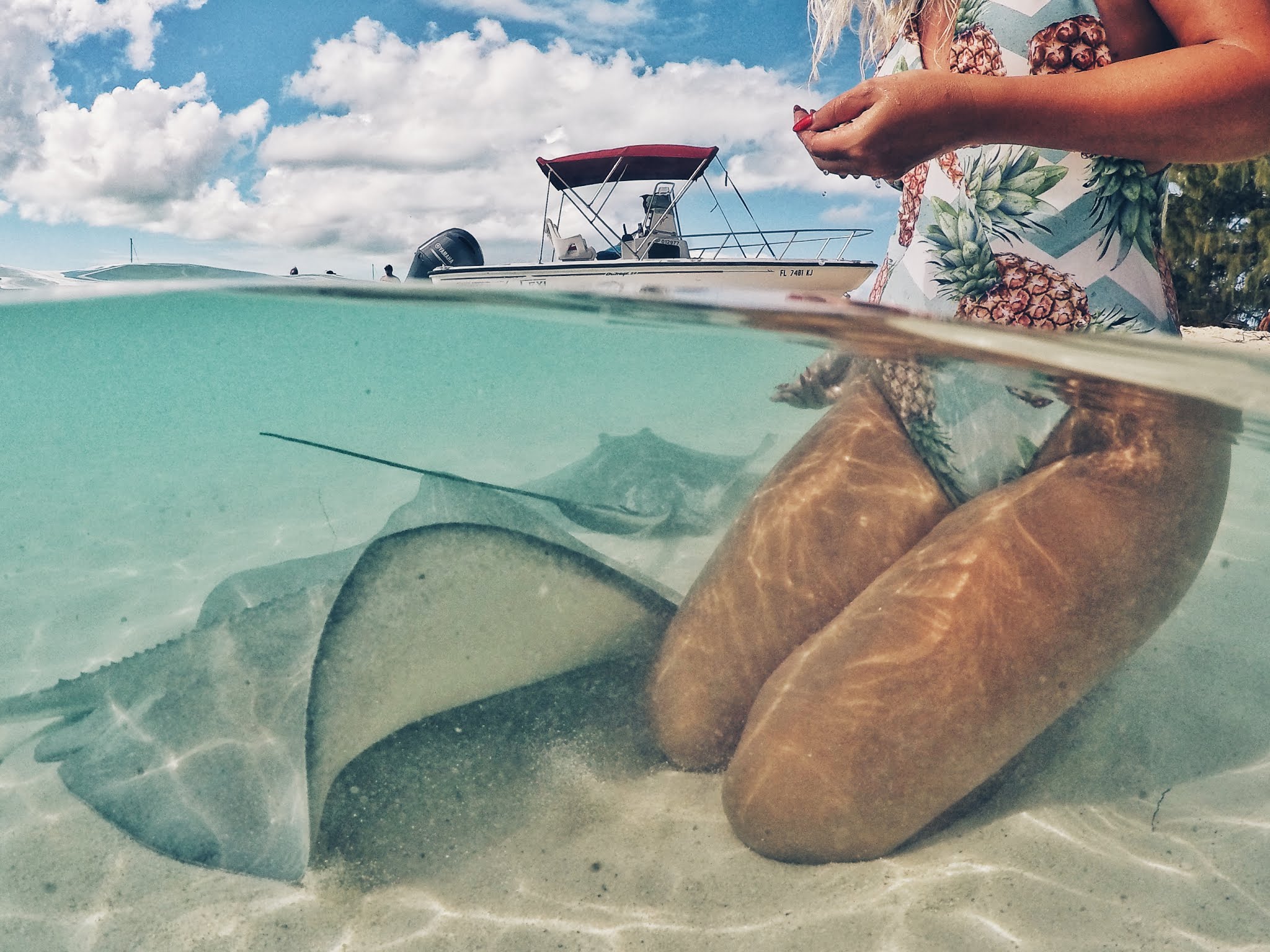 Swimming with pigs in Exuma, The Bahamas