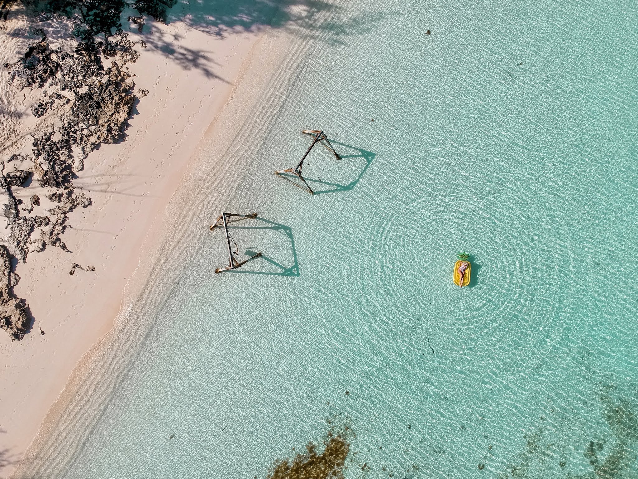Swimming with pigs in Exuma, The Bahamas