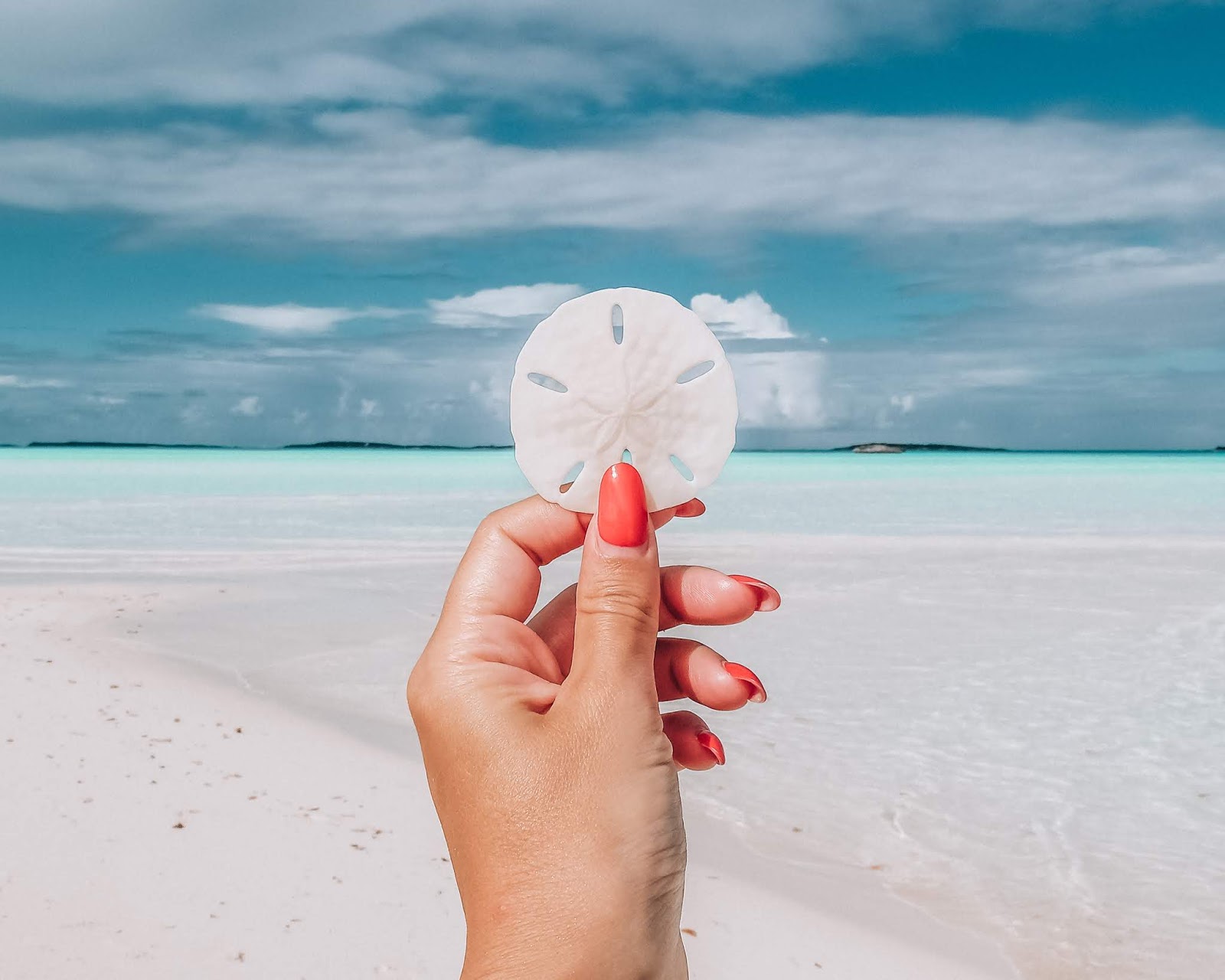 Swimming with pigs in Exuma, The Bahamas