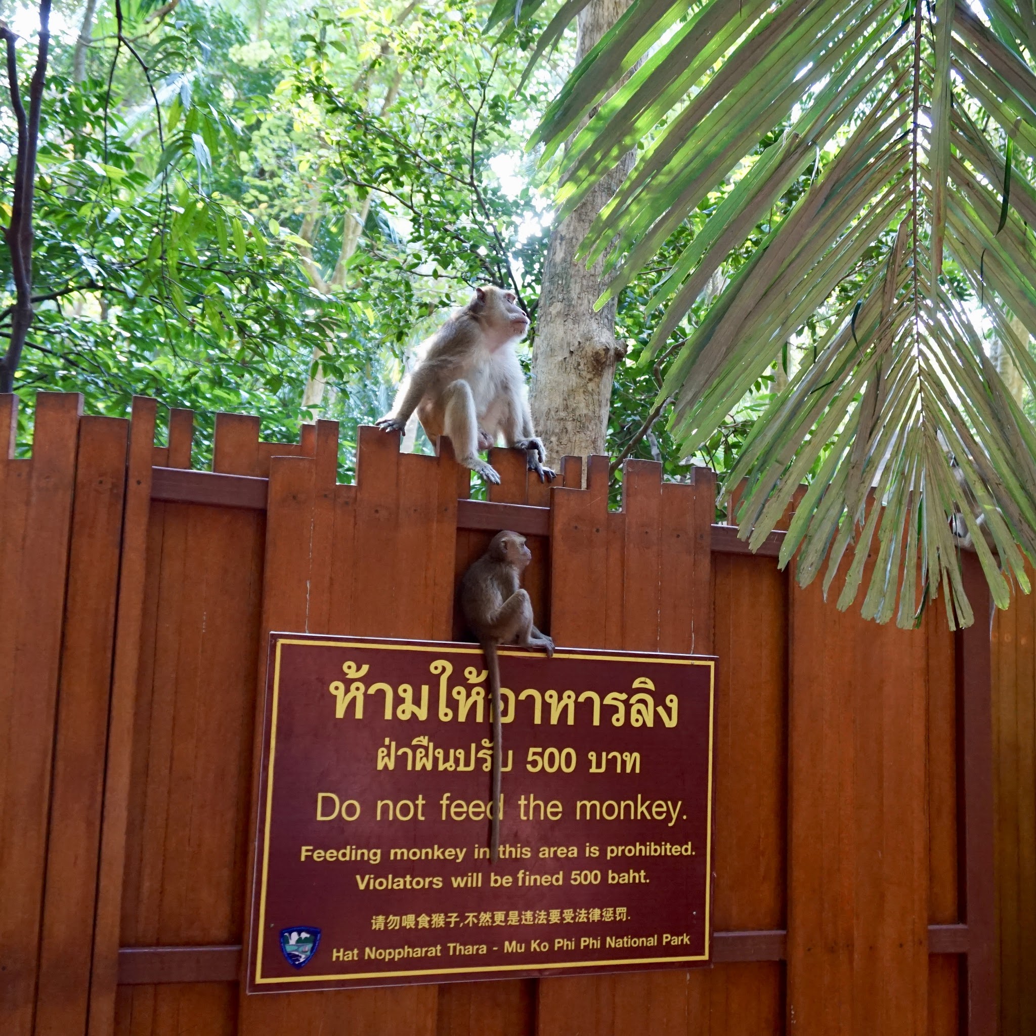 Thailand - The Land of Smile: Part 1