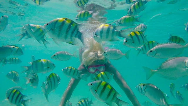 Thailand - The Land of Smile: Part 1