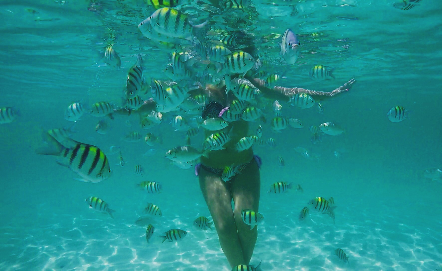 Thailand - The Land of Smile: Part 1