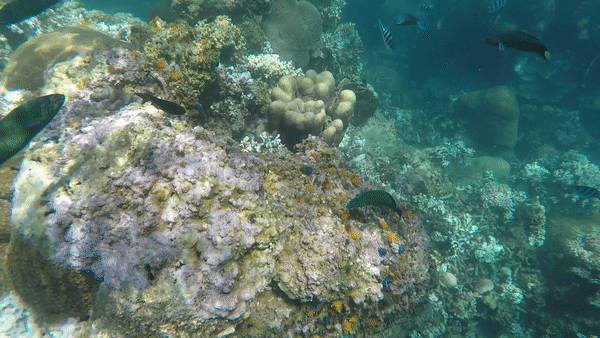 Thailand - The Land of Smile: Part 2