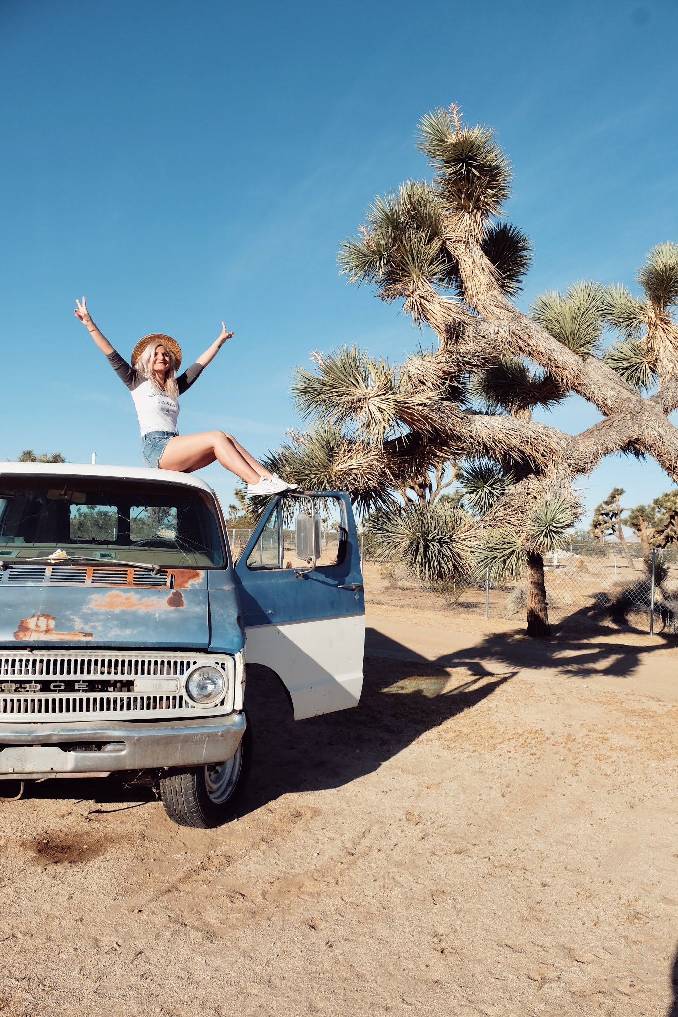 The posh airstreams in Joshua Tree, California