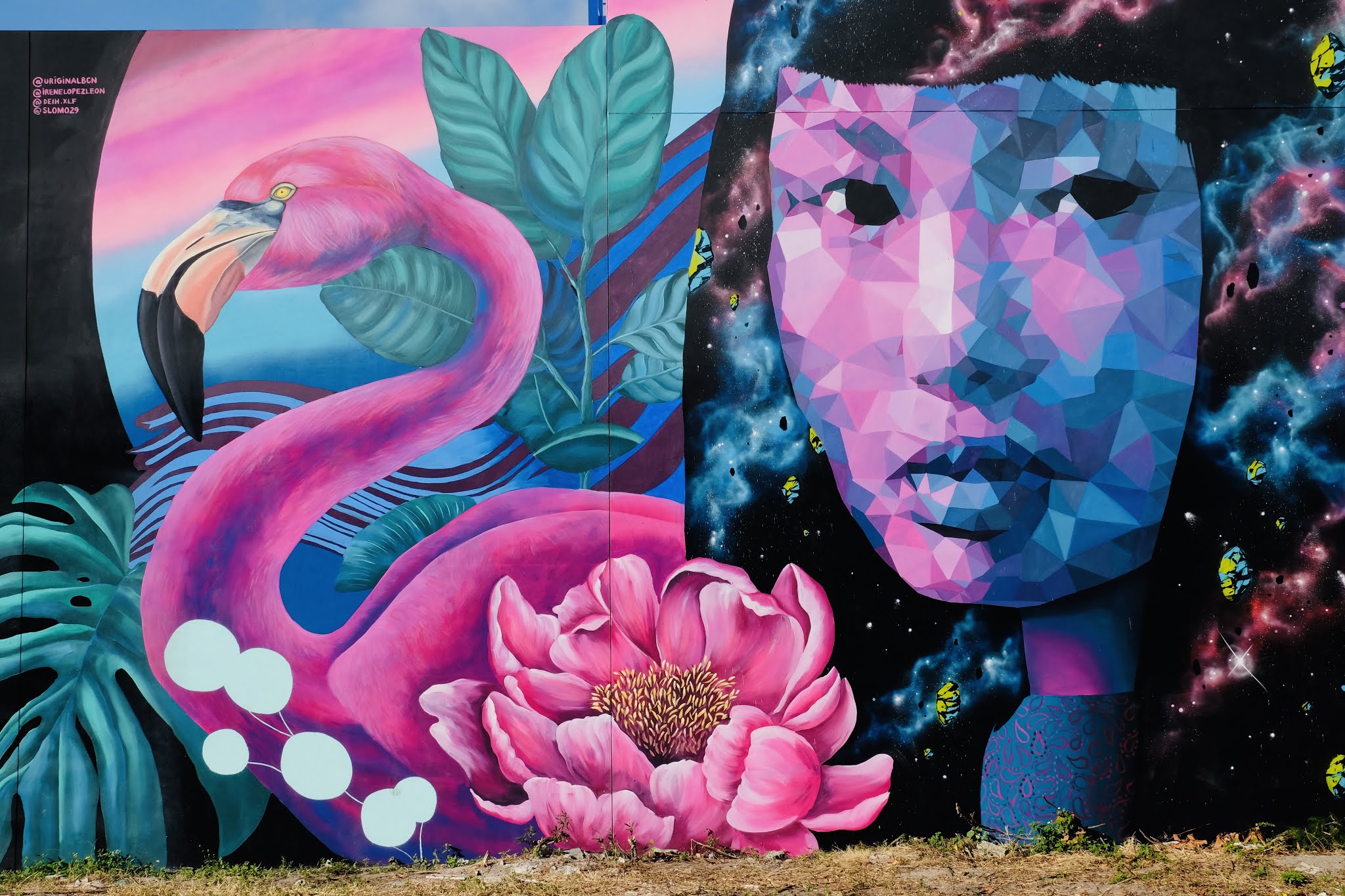 Things to do in Miami, Florida