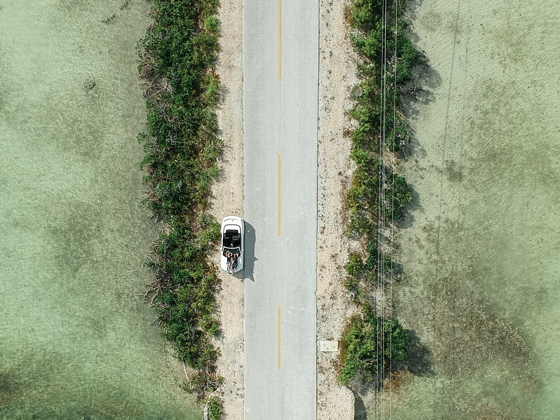 Things to do in Miami, Florida