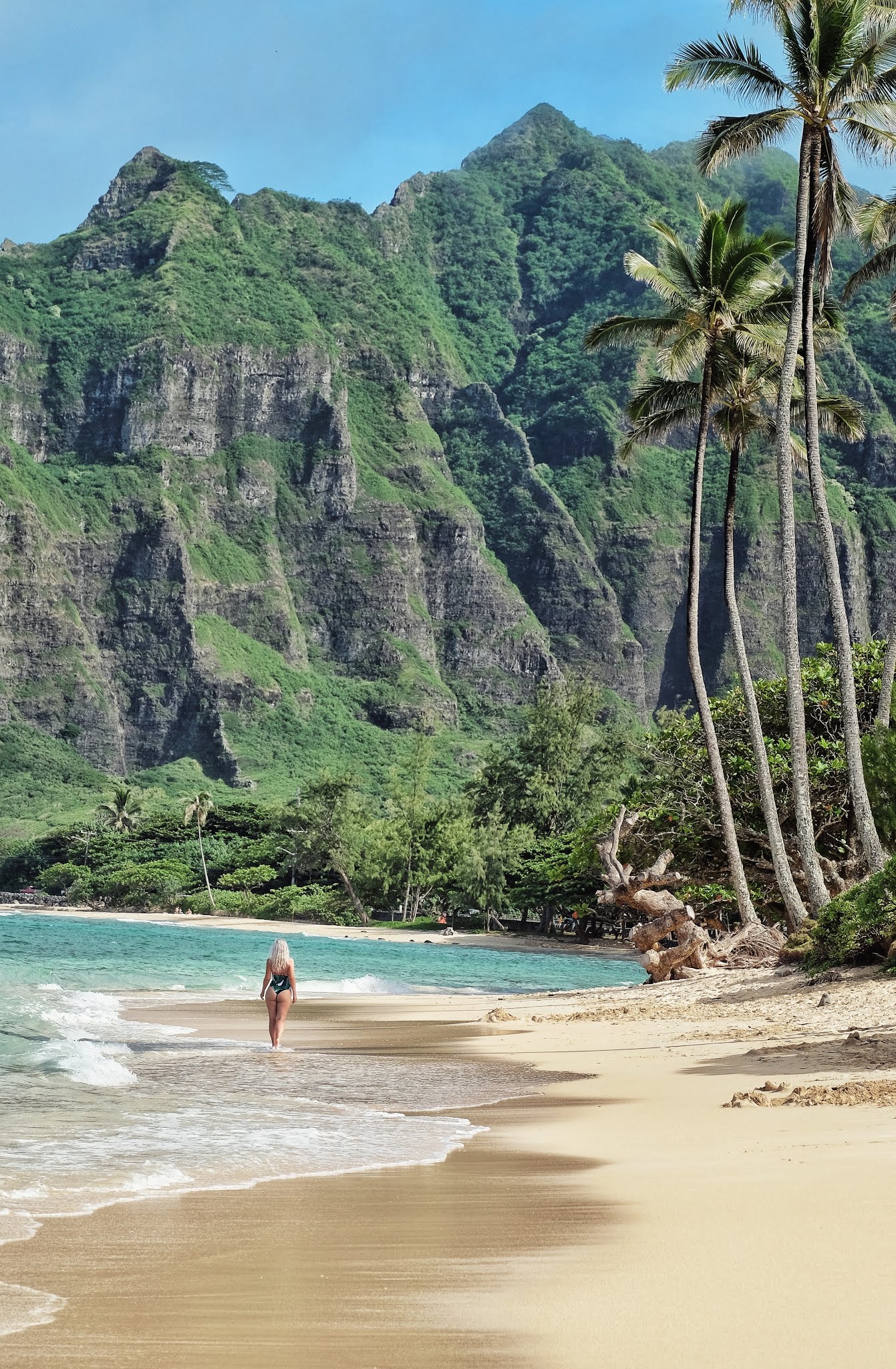 Things to do in O'ahu - Hawai'i