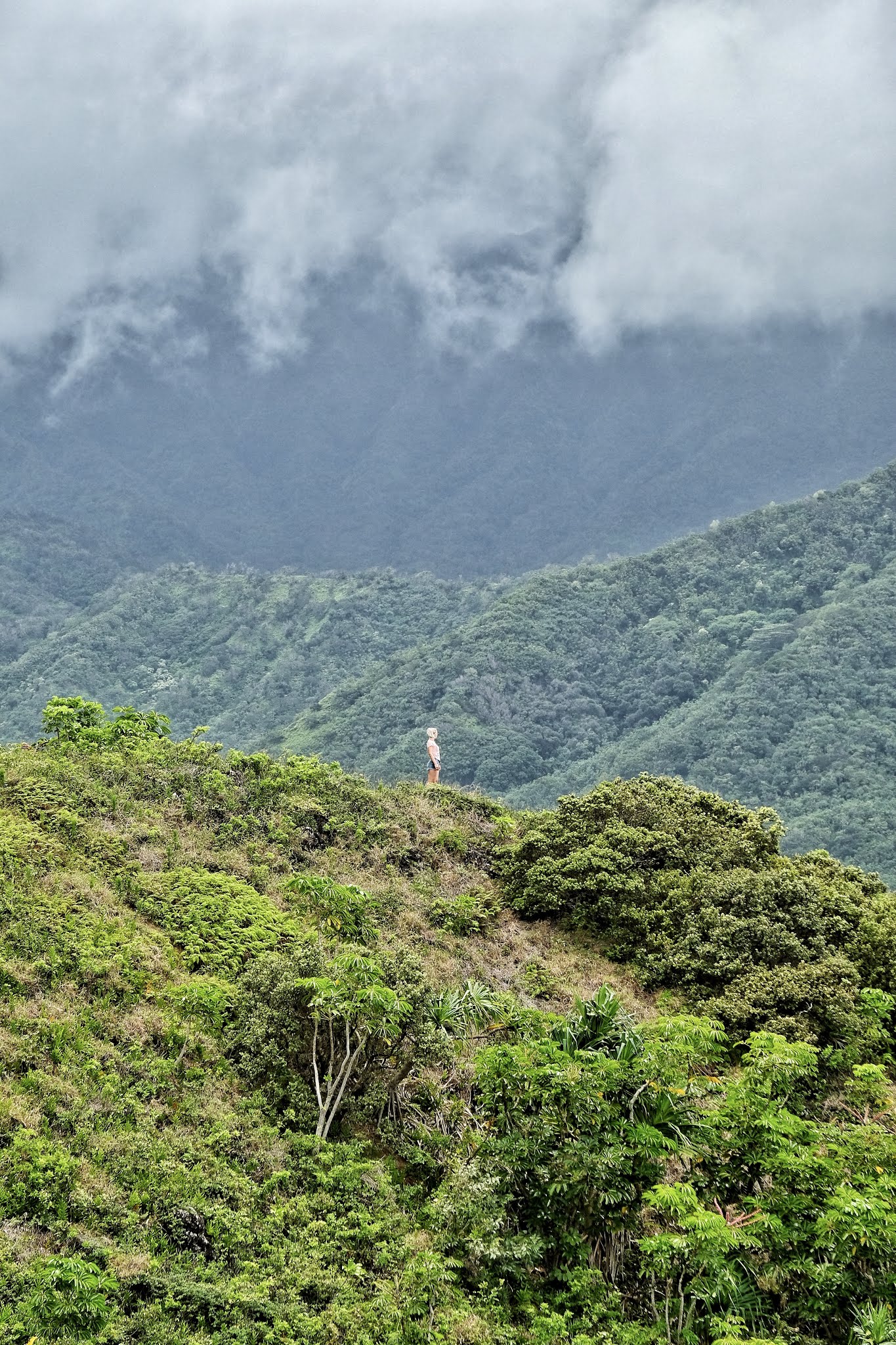 Things to do in O'ahu - Hawai'i