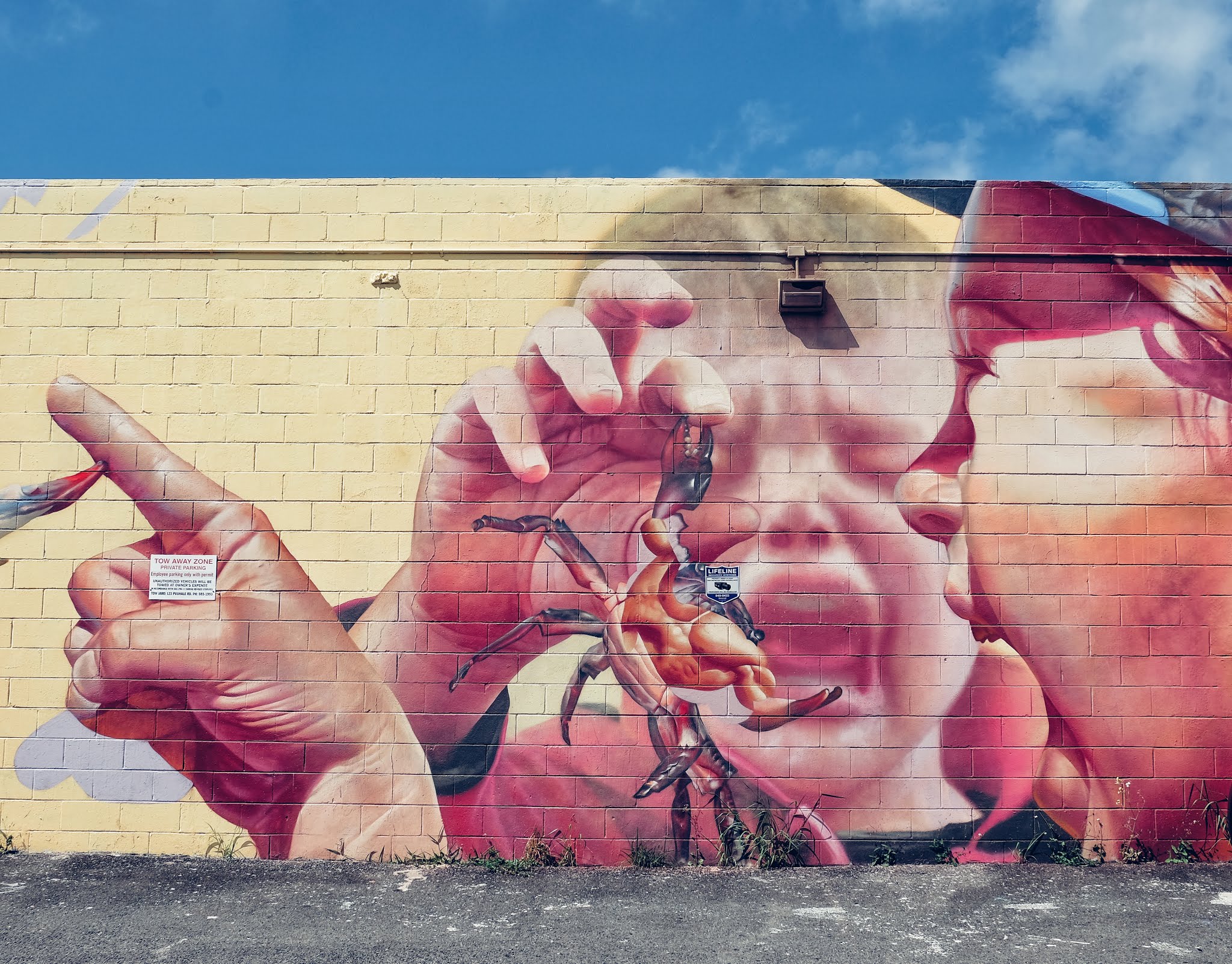 Things to do in O'ahu - Hawai'i