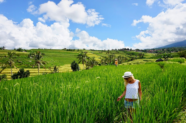 Bali - The Land of a Thousand Gods