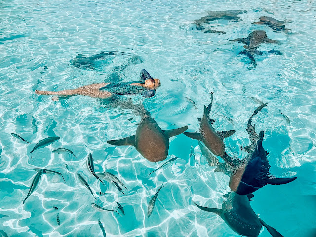 Things to know before traveling to The Bahamas